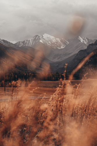 Чуйский тракт. Семинский перевал - Акташ