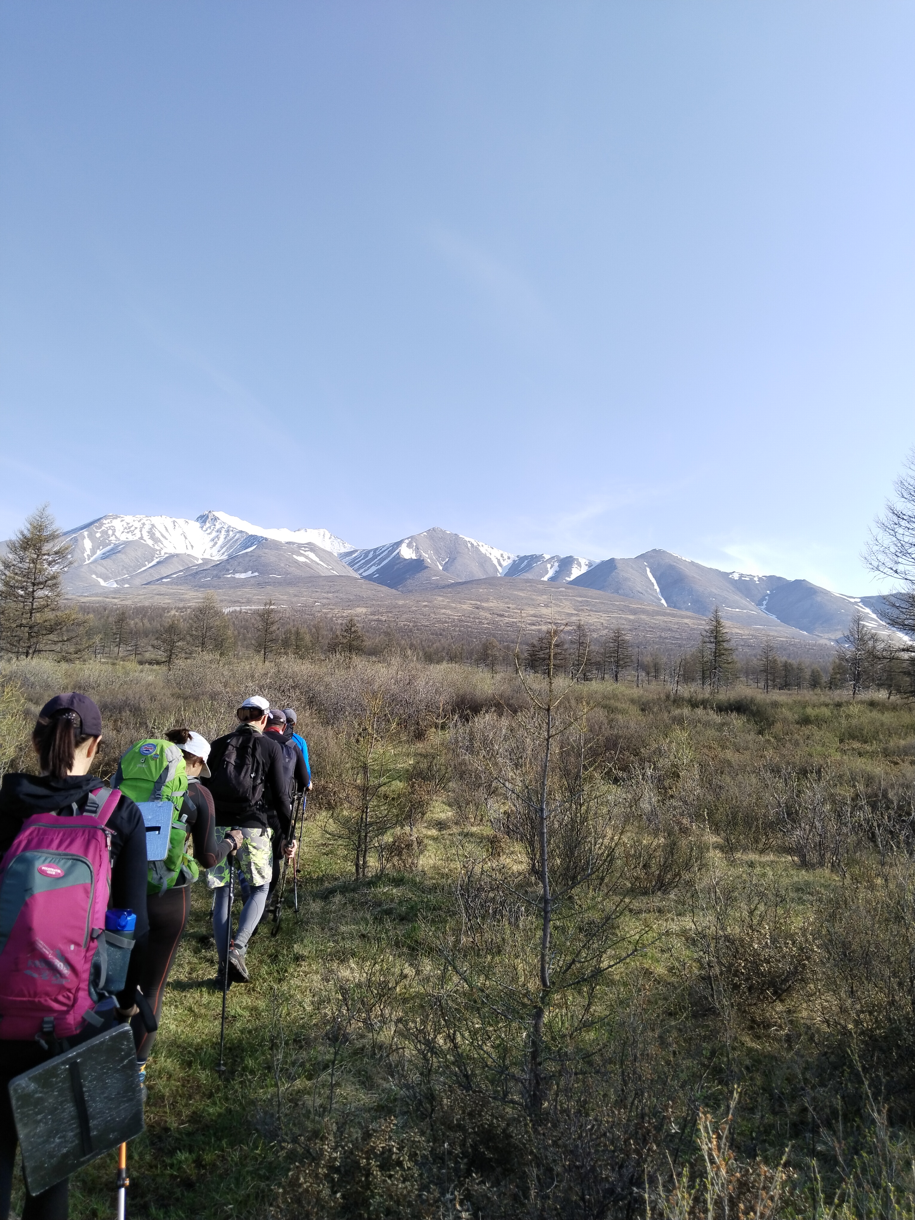 Высокогорная Монголия. (55/82)