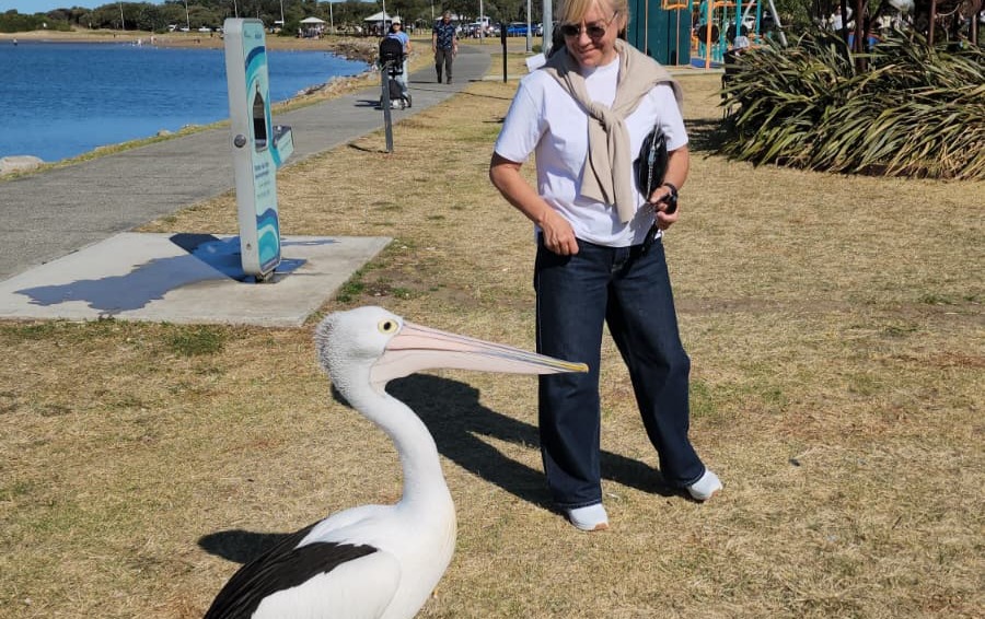 Частный тур Захватывающее путешествие вдоль южного побережья Сиднея (19/19)