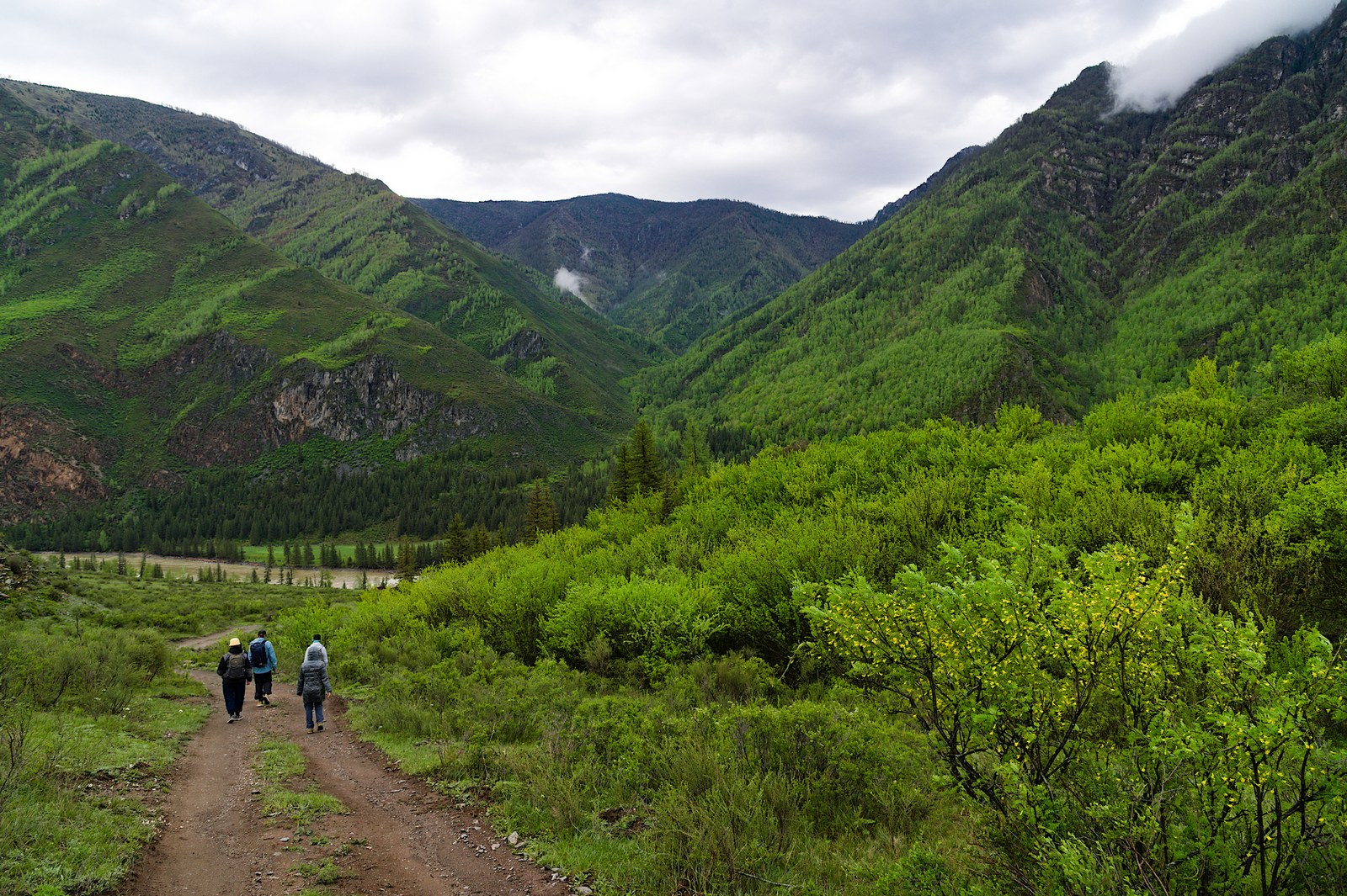 Тур по цветущему Алтаю с трекингами налегке (22/39)