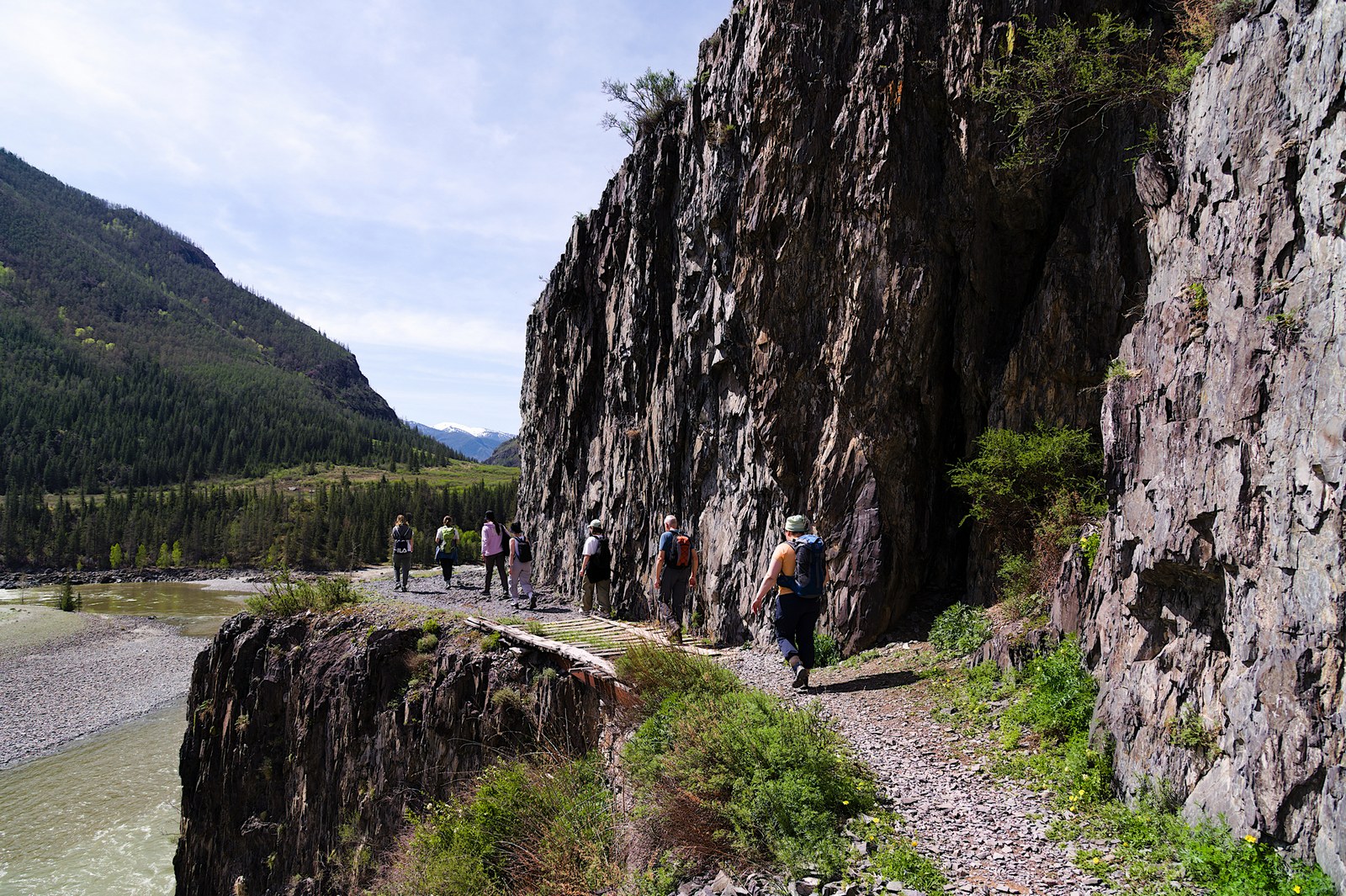 Тур по цветущему Алтаю с трекингами налегке (21/39)