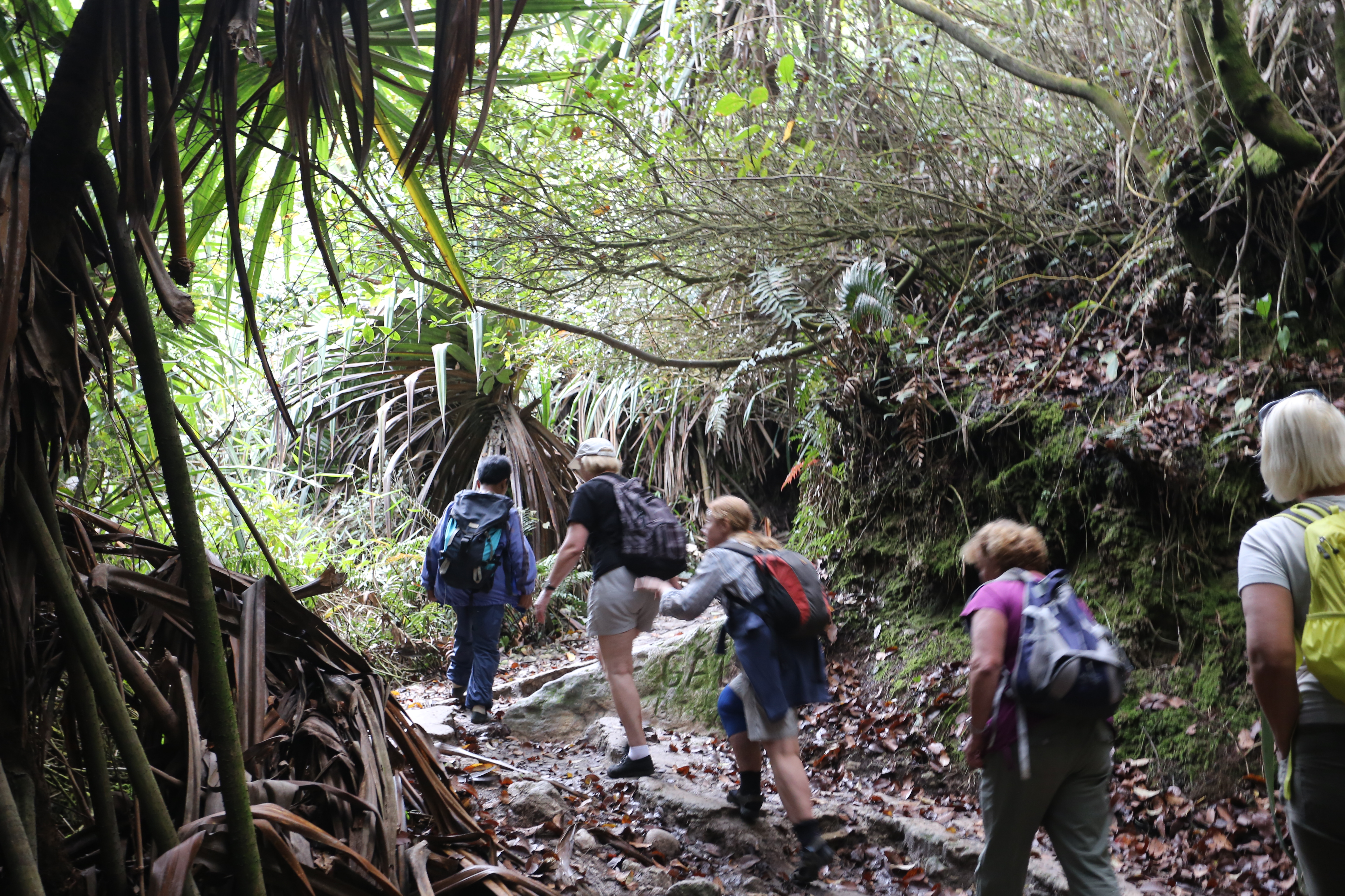 Экотрип на Суматру (17/52)