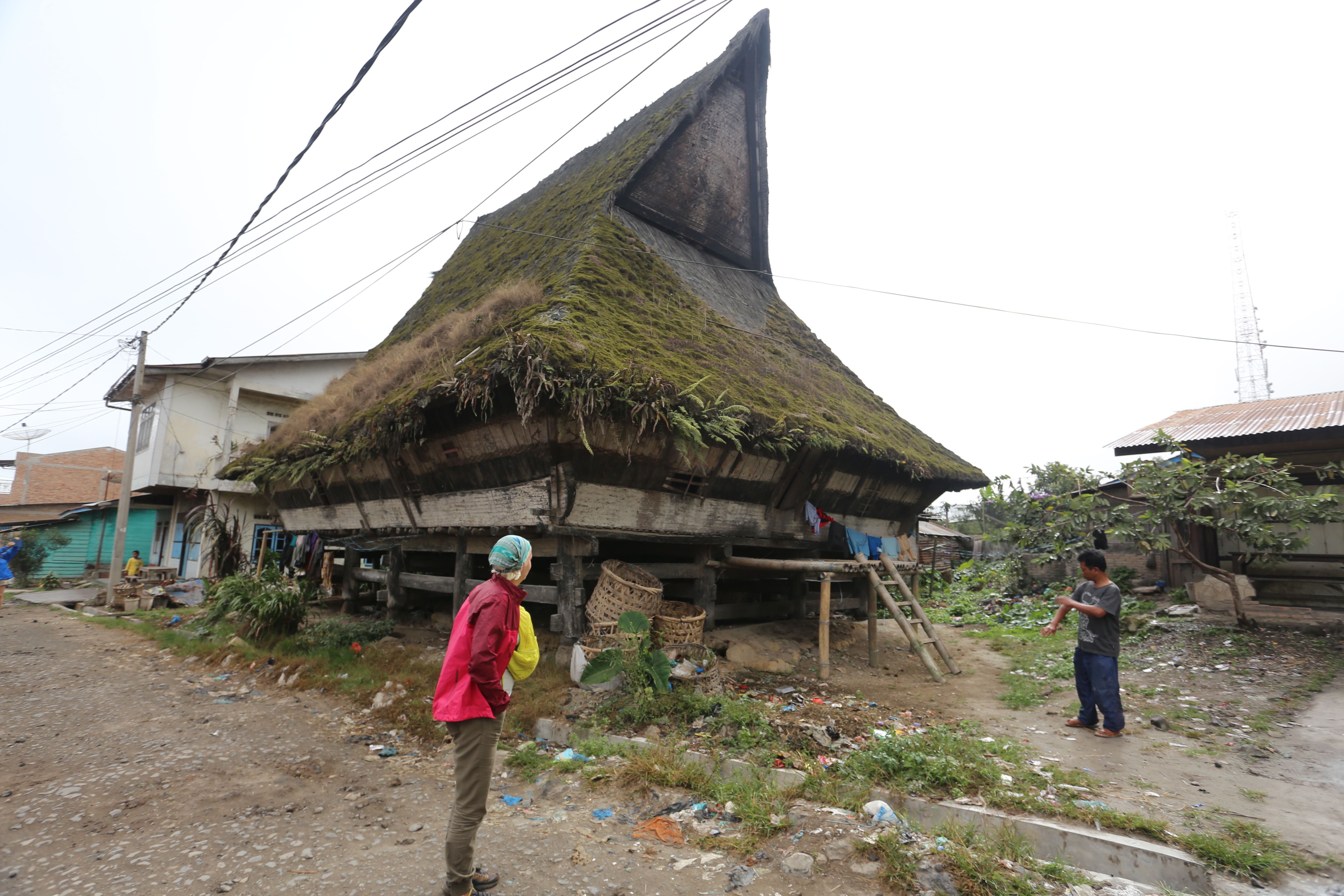 Экотрип на Суматру (27/52)