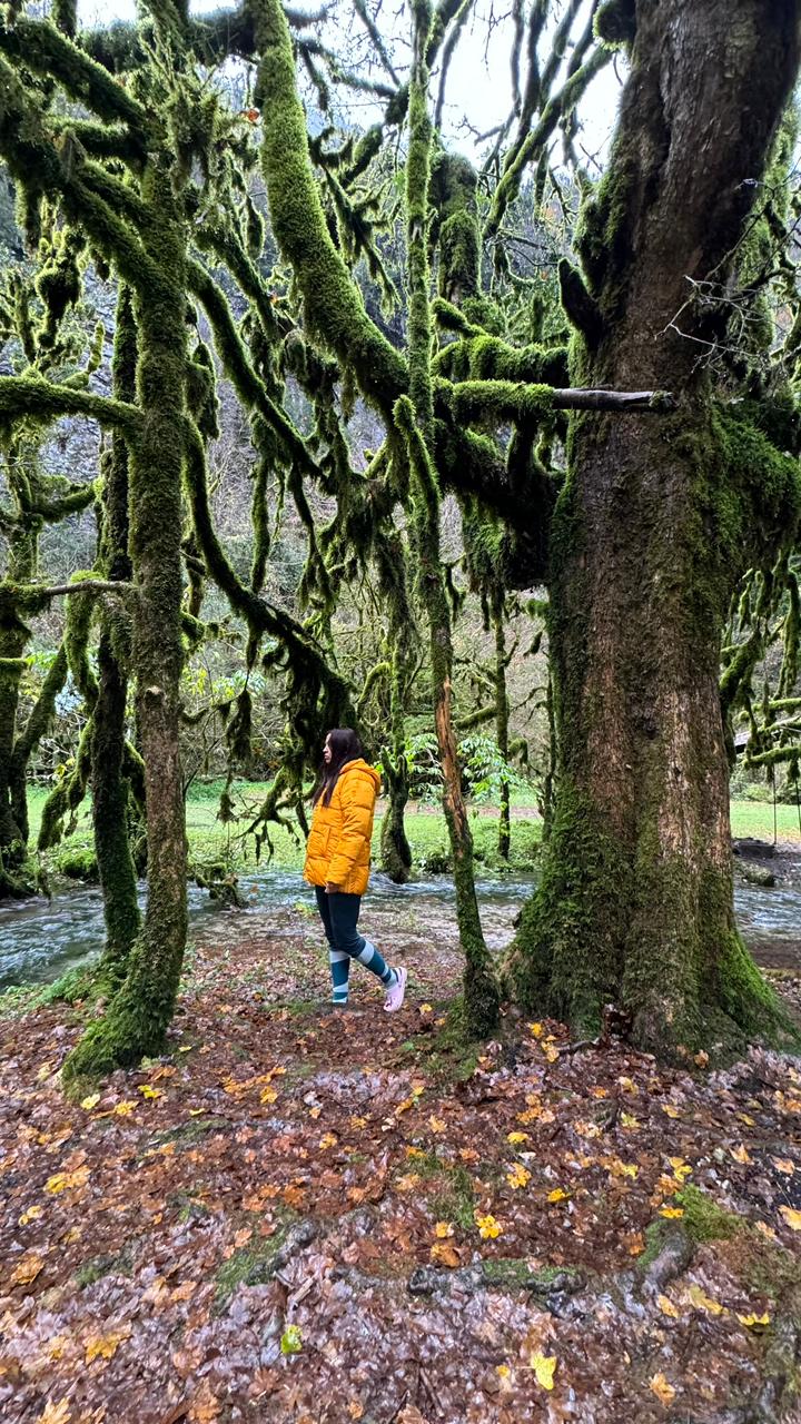 Из Краснодара в Абхазию (5/21)