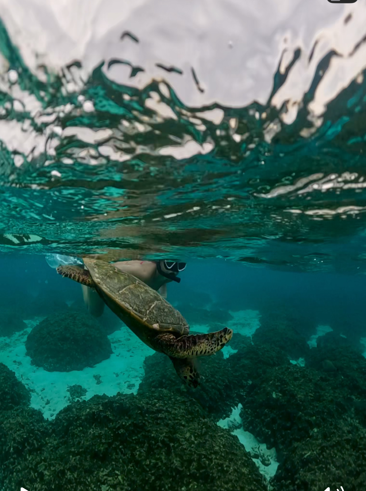 Сказочные Мальдивы.9 Дней на Райских Островах (8/87)