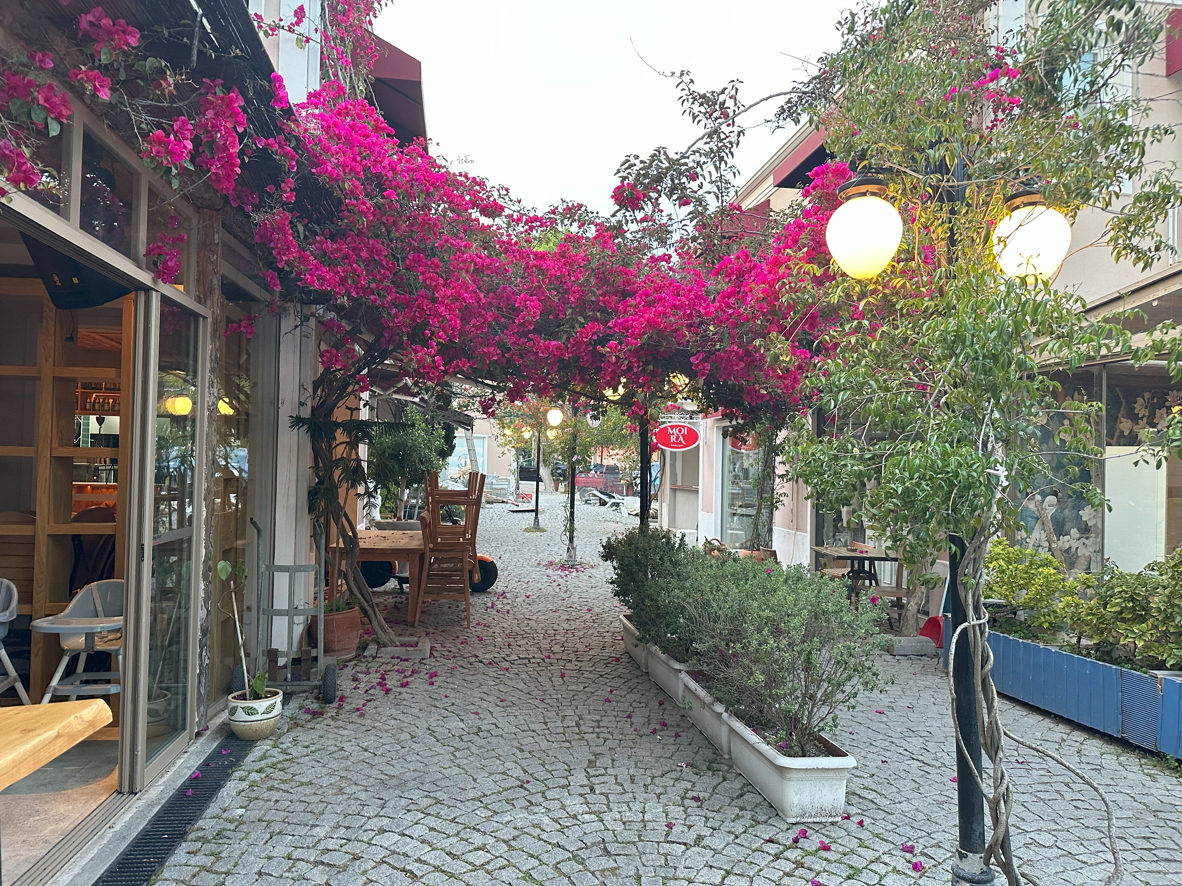 Турция на парусной яхте: Мармарис (Ликийская тропа) (25/47)