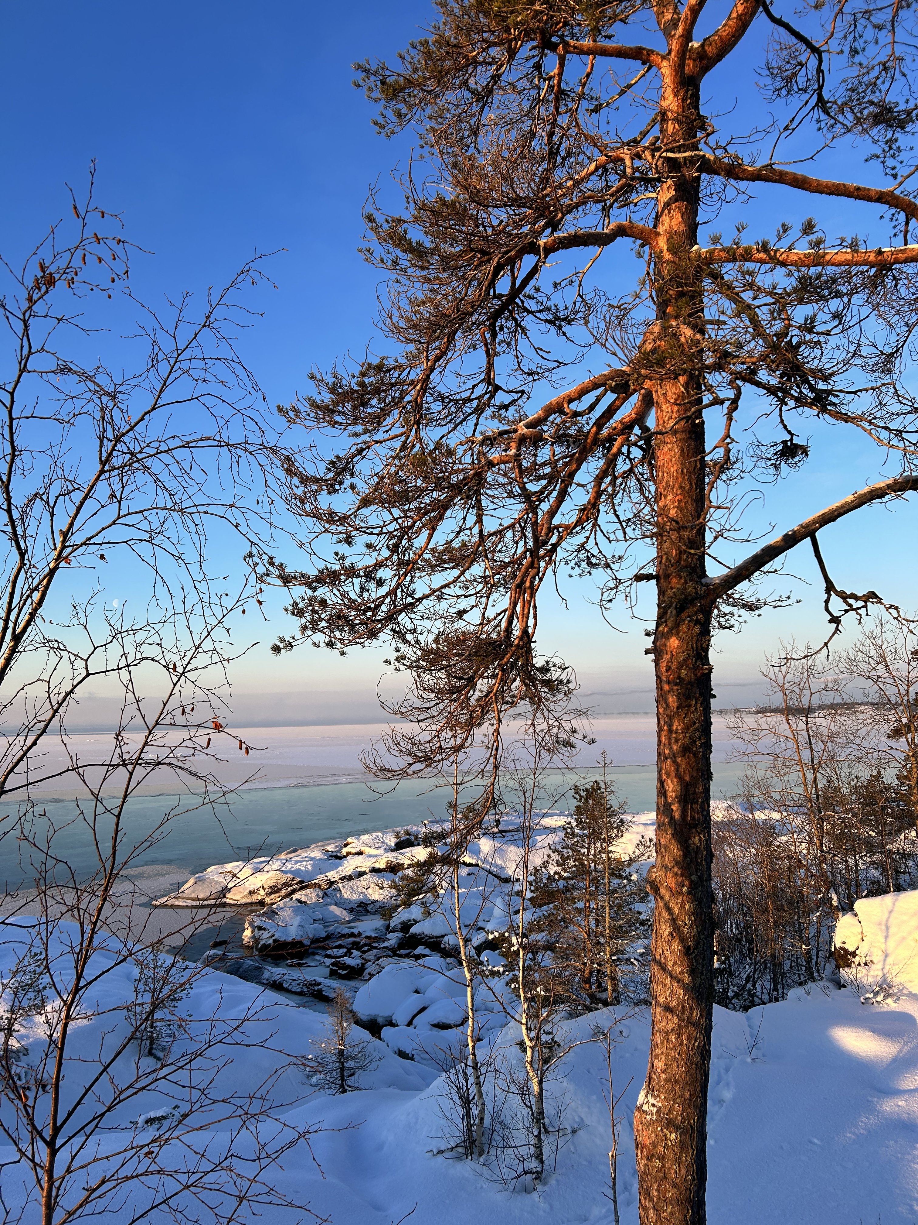 Вся Карелия. Лучший способ полюбить зиму! (42/57)