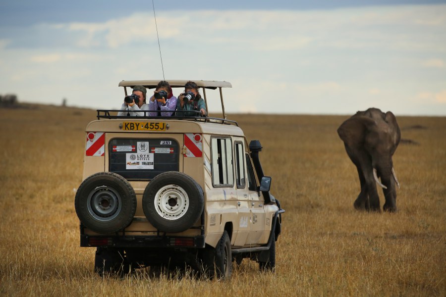 Лучший сафари тур 2025: Великая Миграция в Кении (8/10)