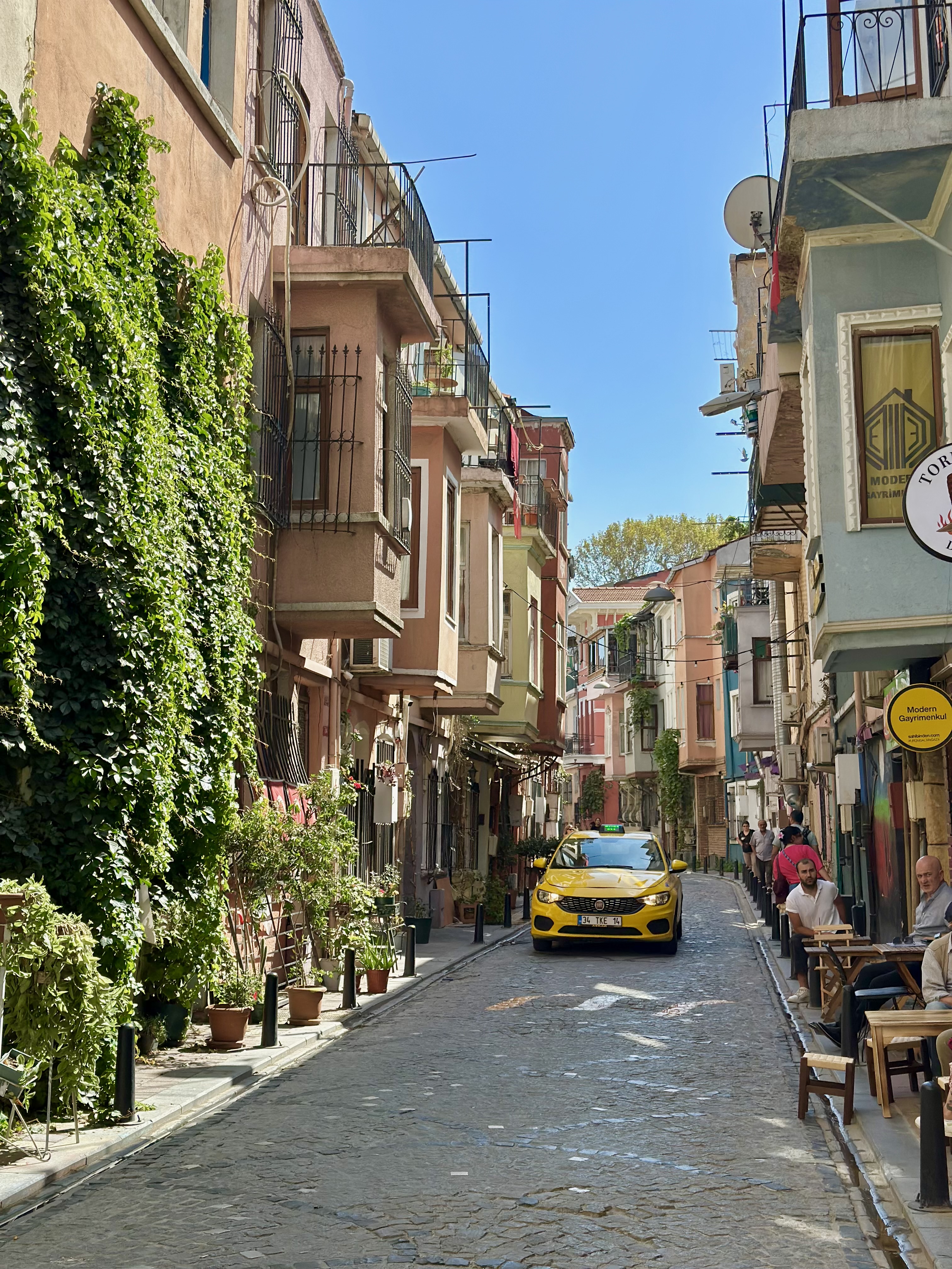 Стамбул с местной жительницей! (39/67)