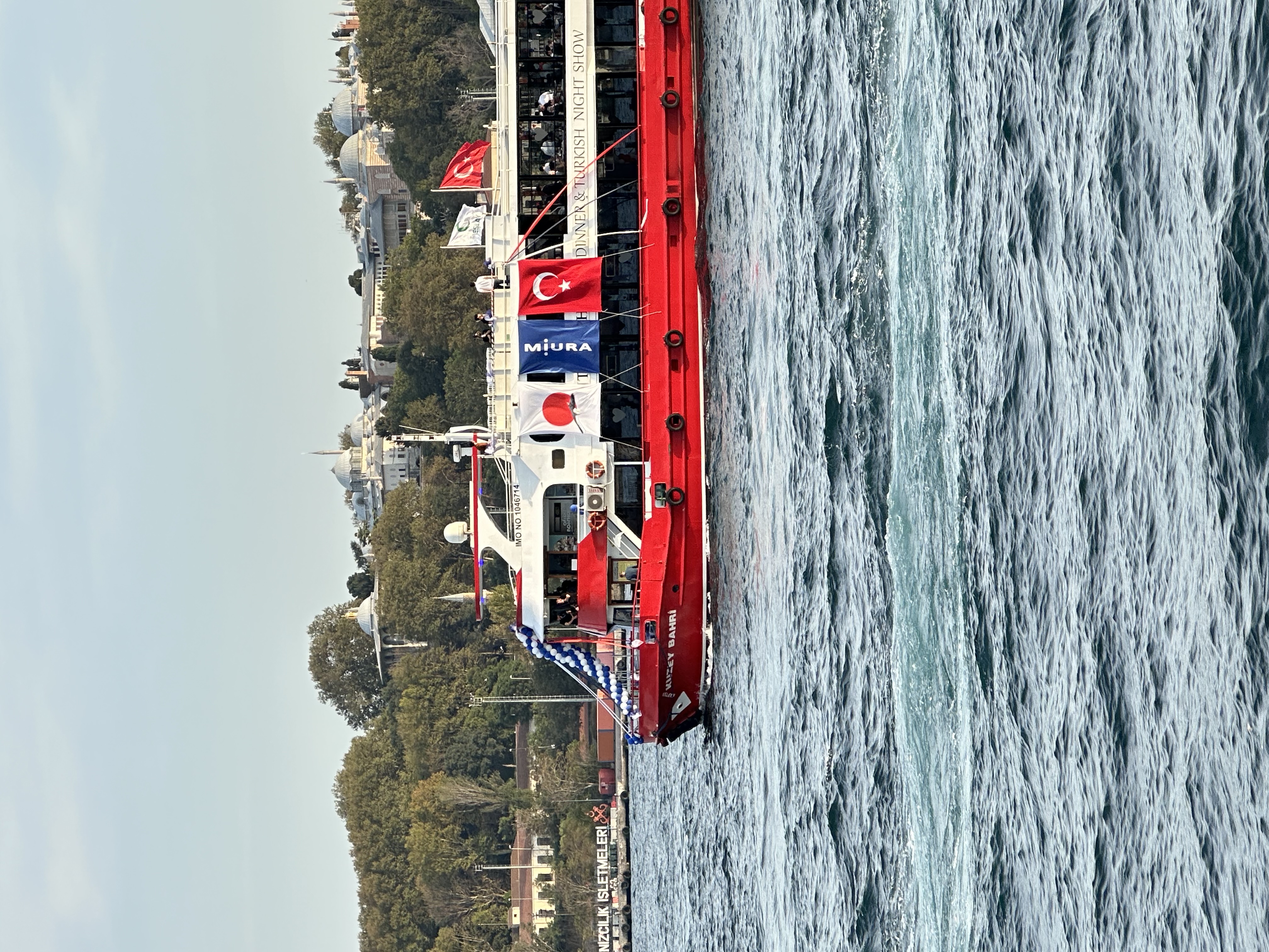 Стамбул с местной жительницей! (49/67)