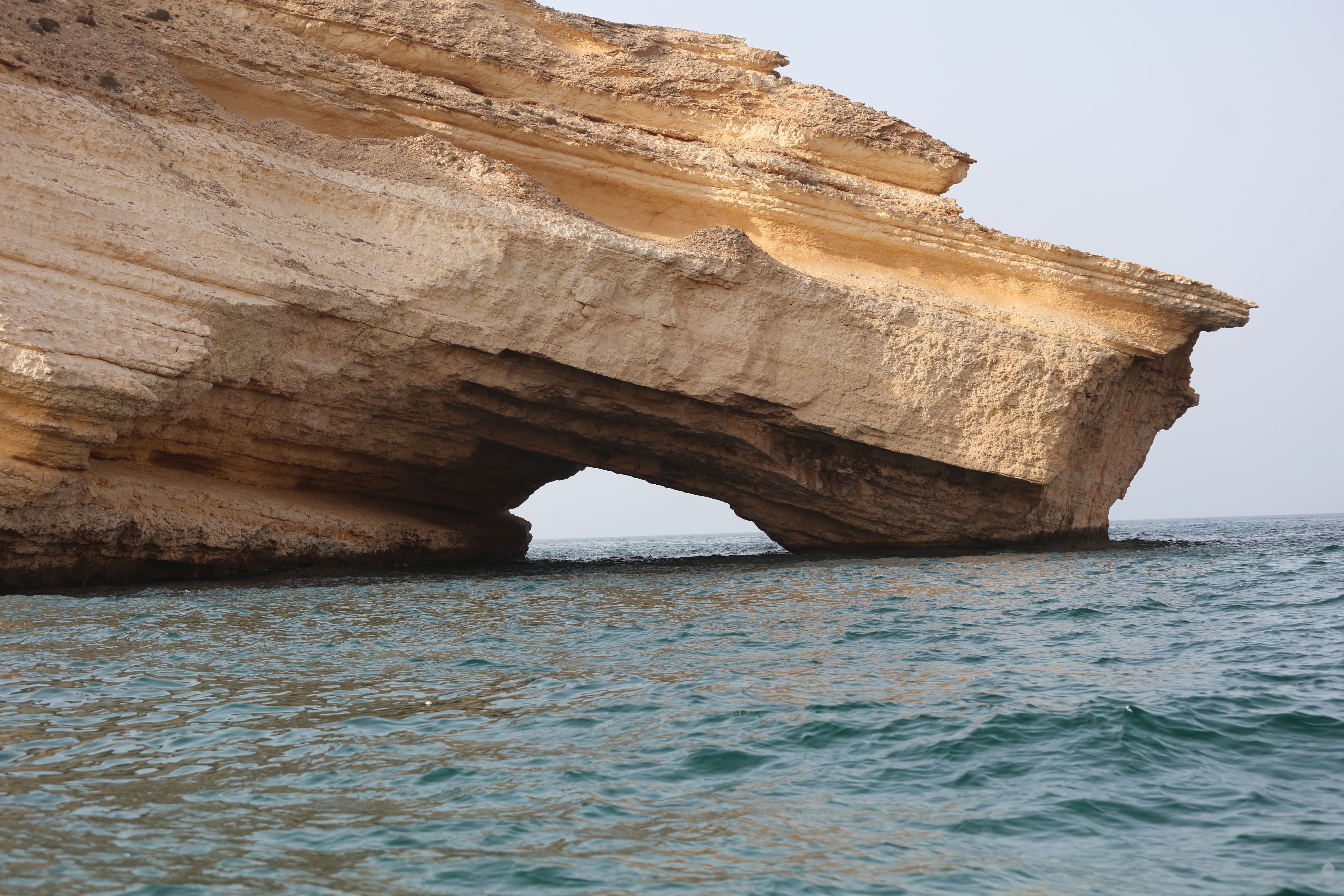 Voyager — экспедиция к бухтам с черепахами (18/18)