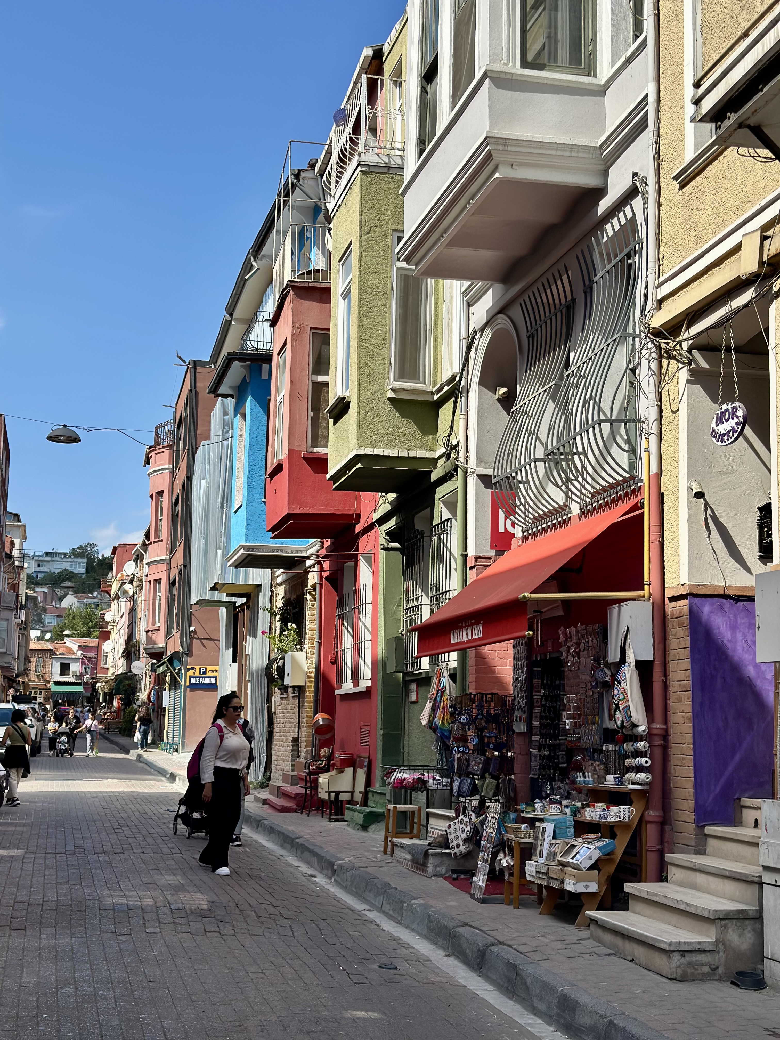 Стамбул с местной жительницей! (23/67)