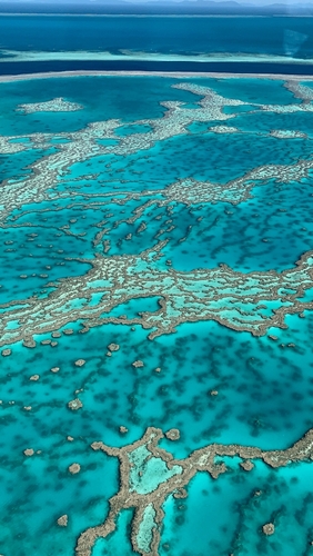 Большой Барьерный Риф