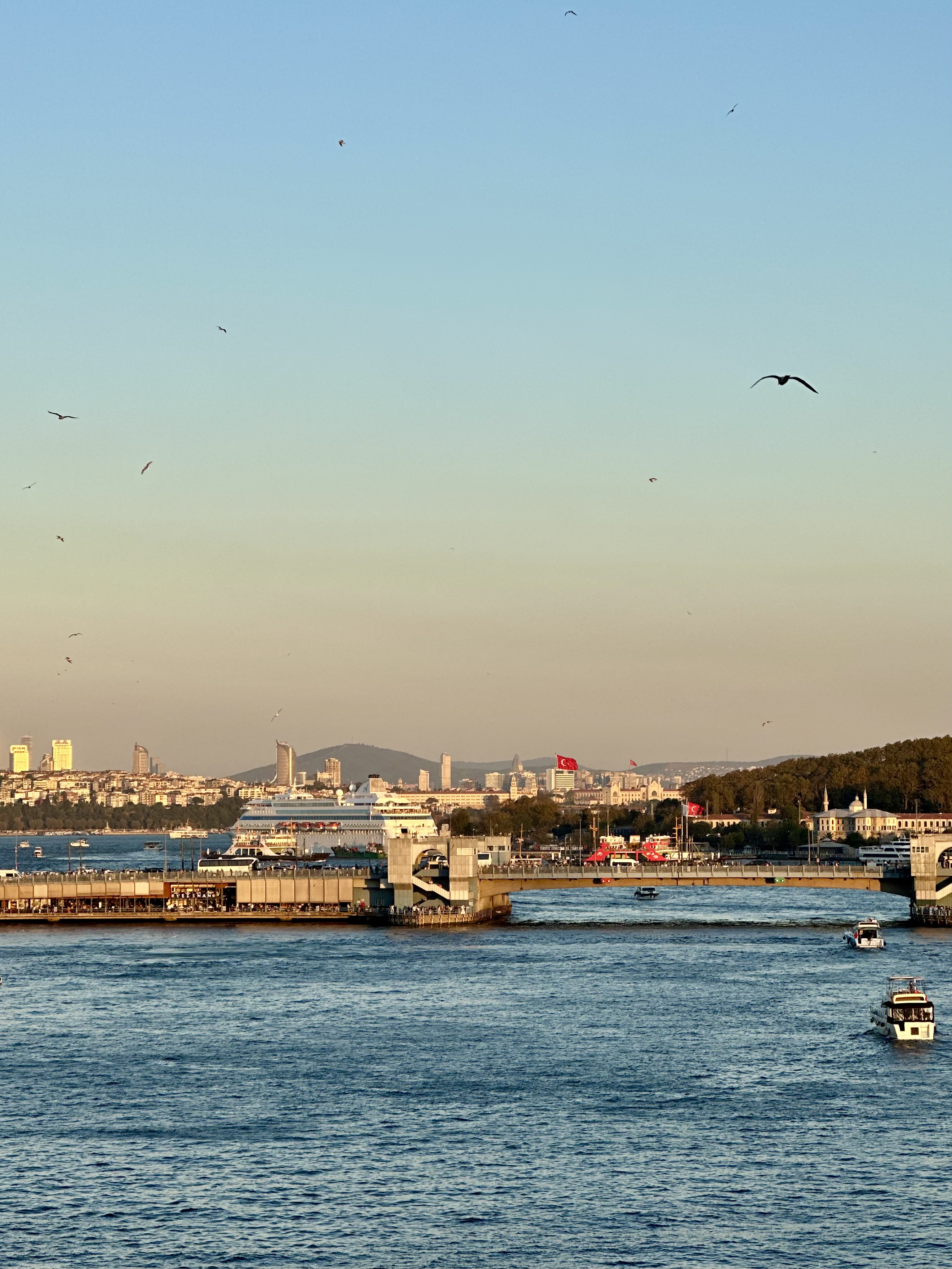 Стамбул с местной жительницей! (37/67)