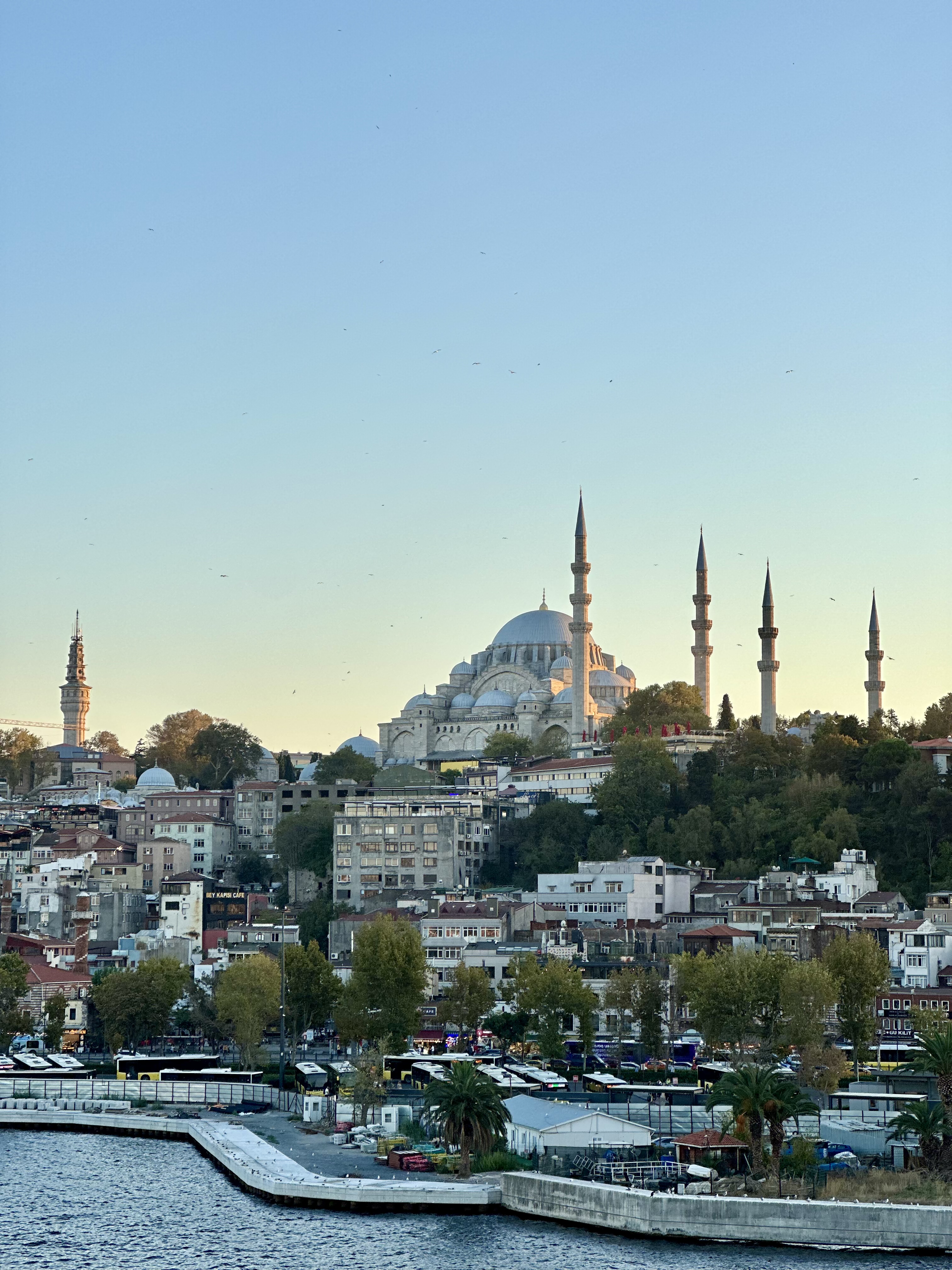 Стамбул с местной жительницей! (35/67)