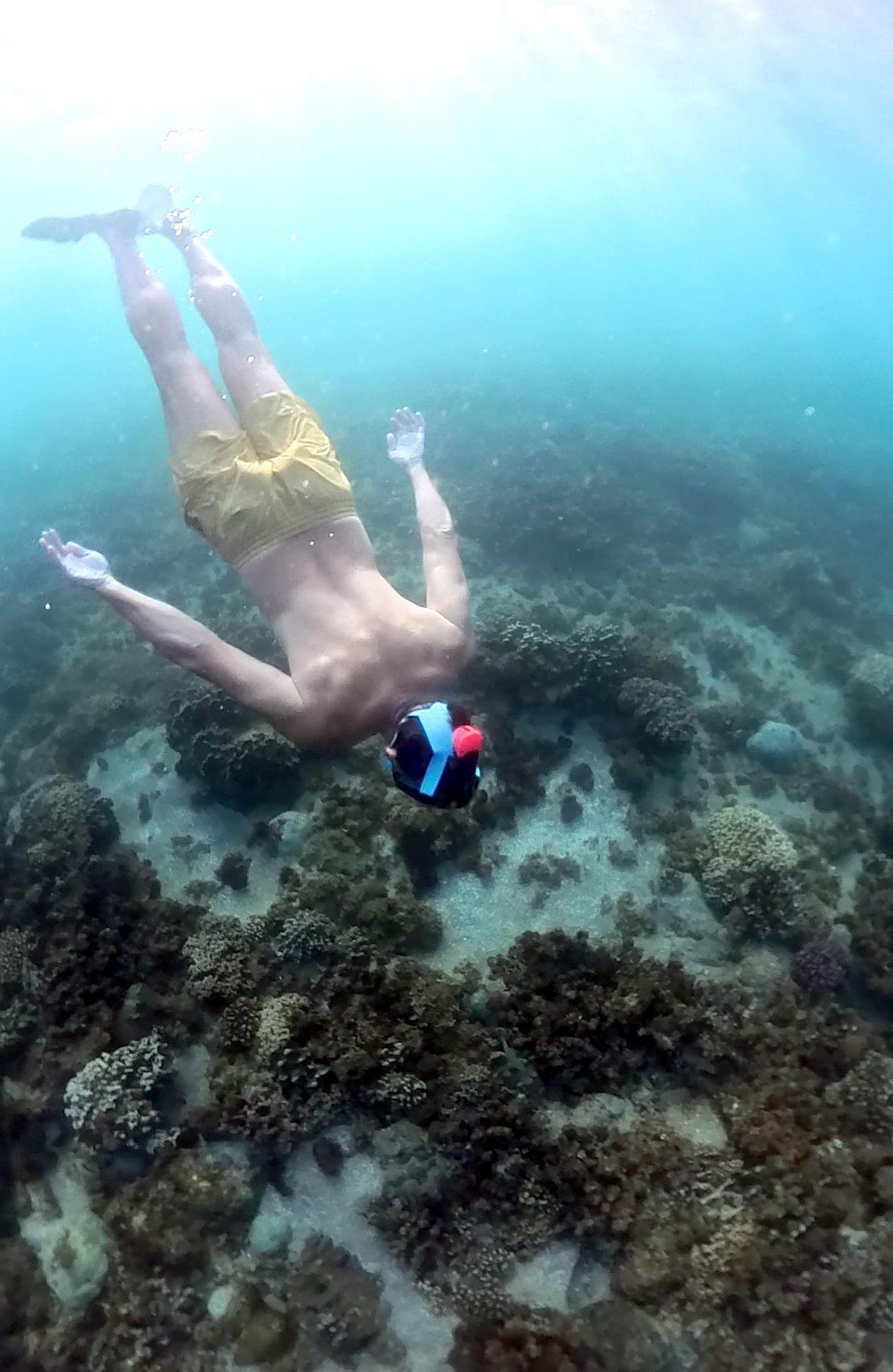 Voyager — экспедиция к бухтам с черепахами (6/18)