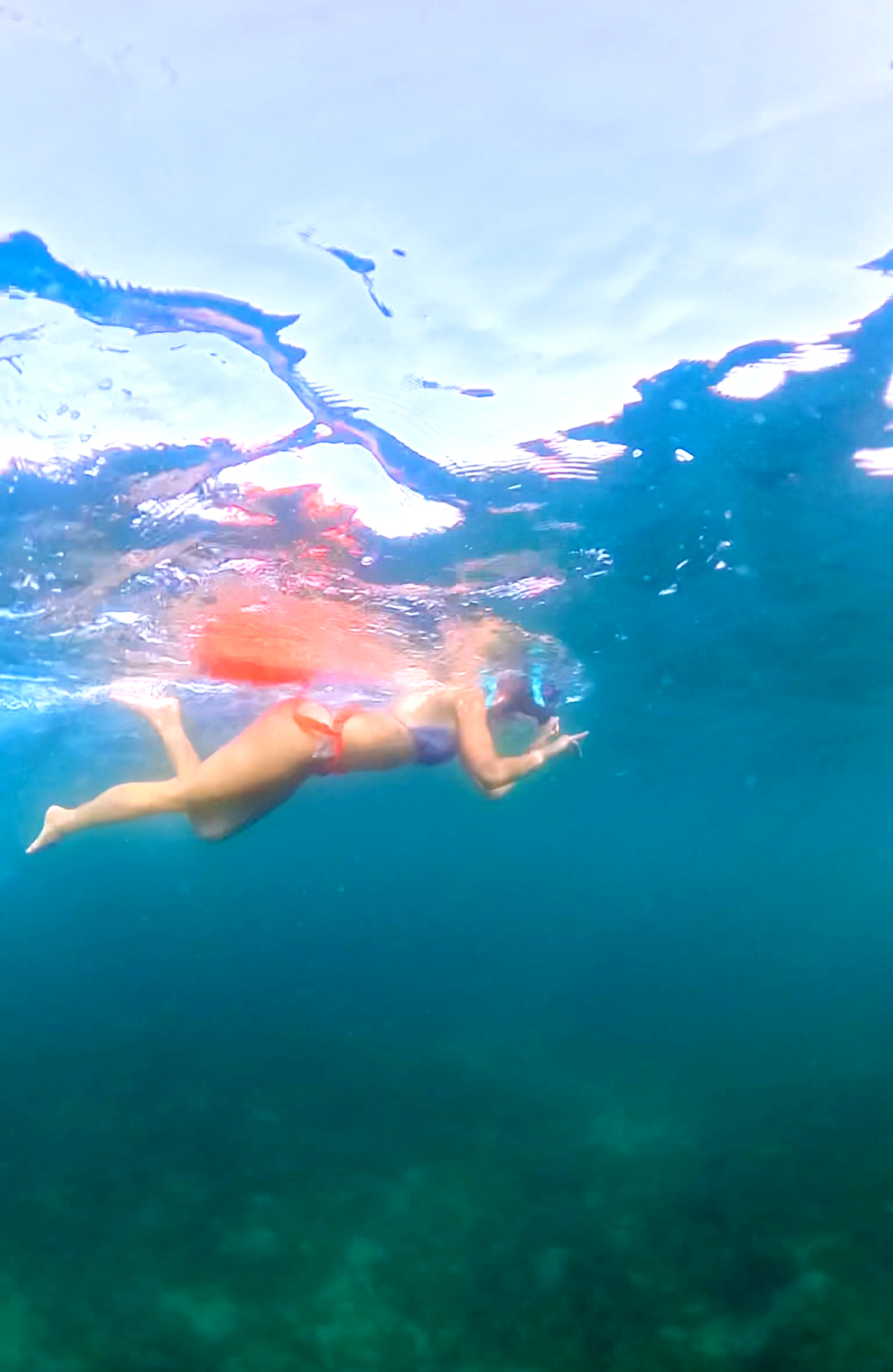 Voyager — экспедиция к бухтам с черепахами (3/18)