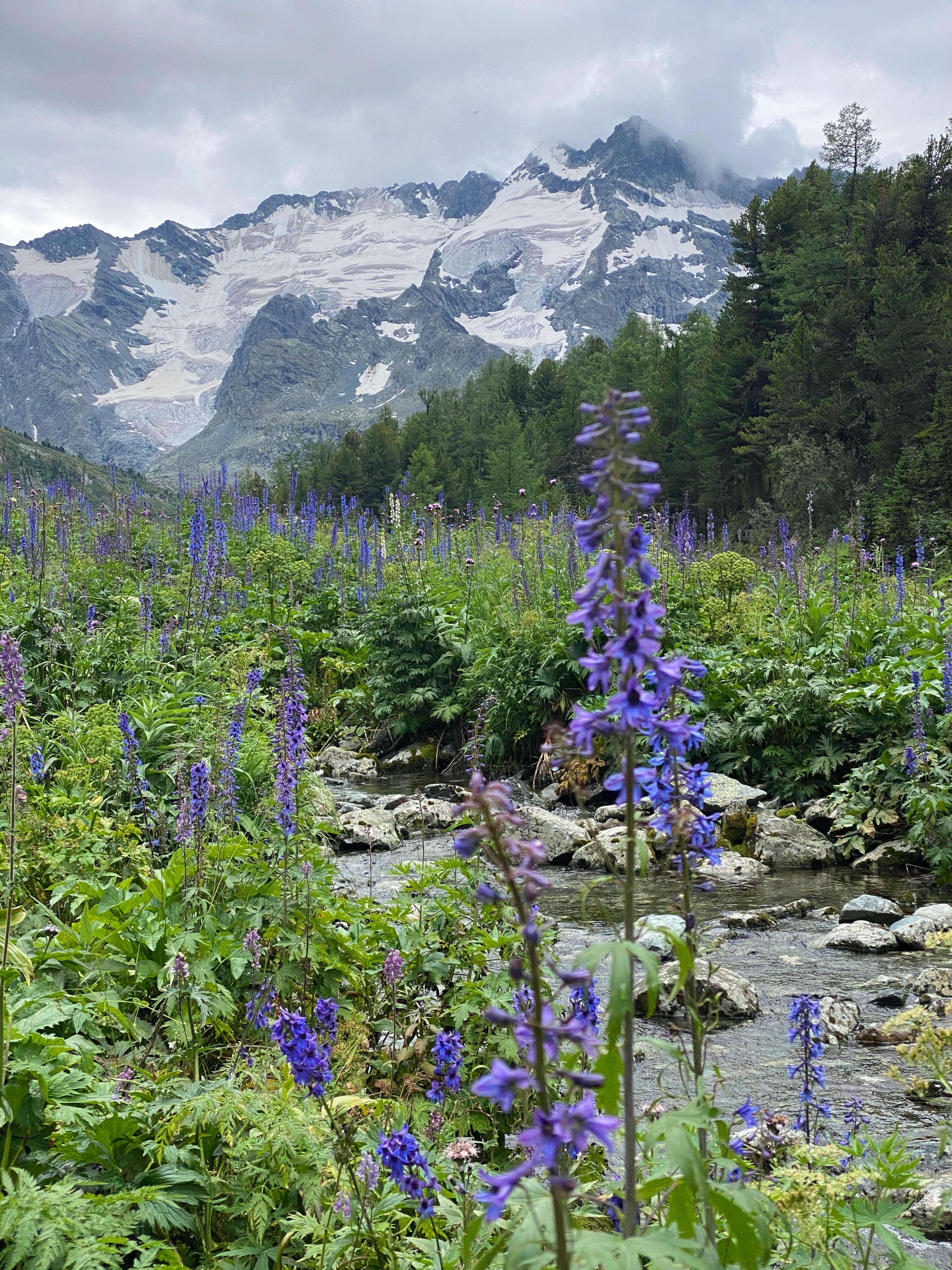 Алтай. Поход к Мультинским озерам (6/35)