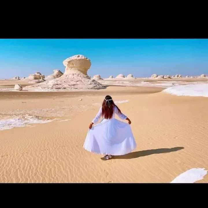 белая пустыня +оазис Эльфаюм за 2 дня (12/20)