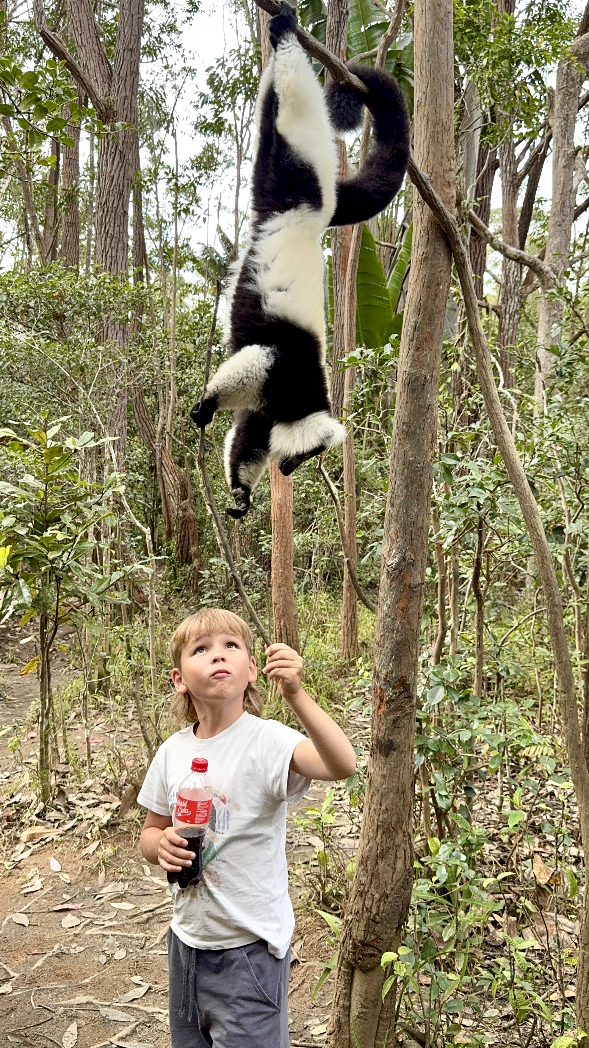Мадагаскар. Путешествие к Лемурам и Баобабам (4/73)