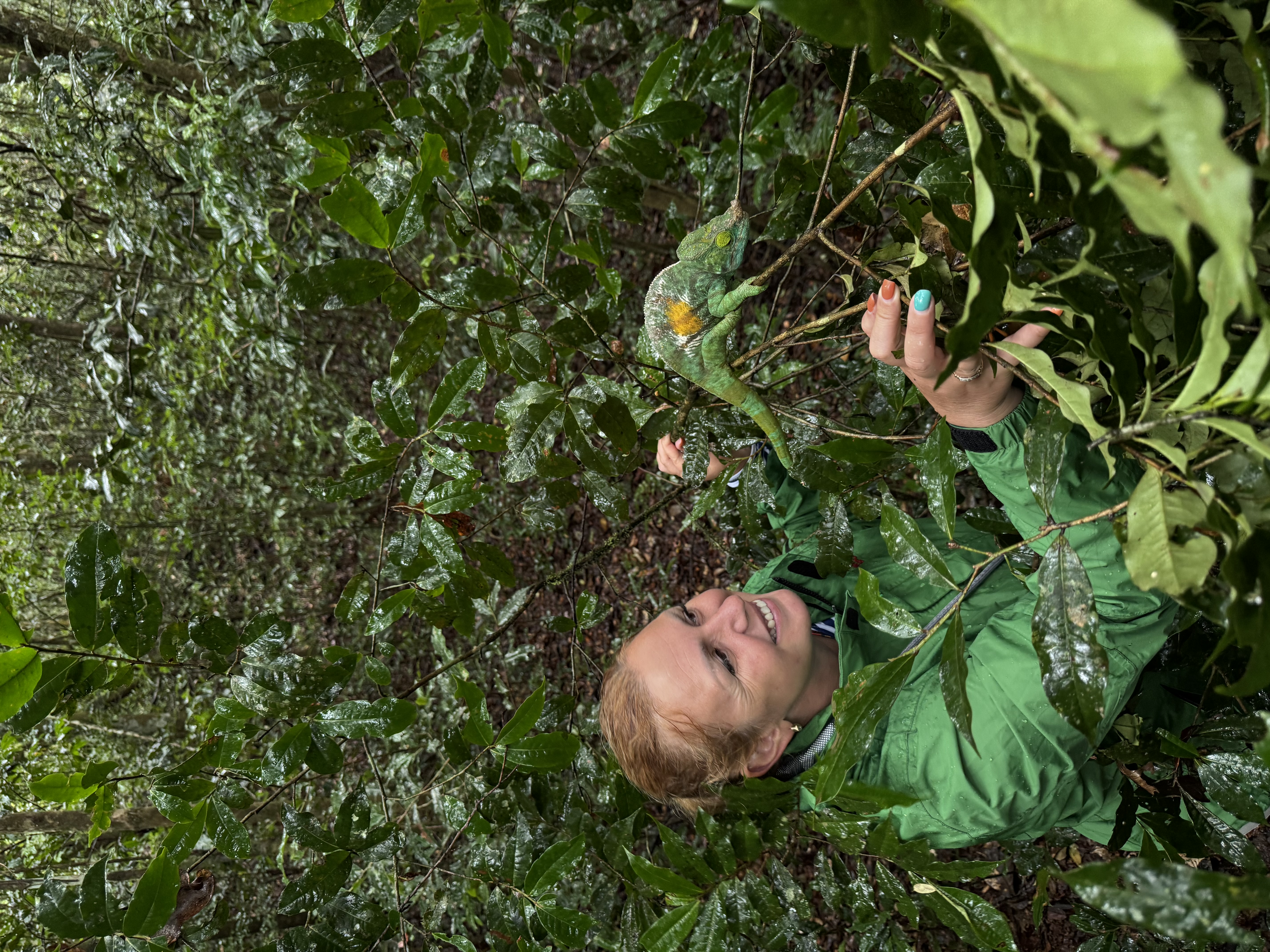 Мадагаскар. Путешествие к Лемурам и Баобабам + Пляжи Носи Бе. (6/43)