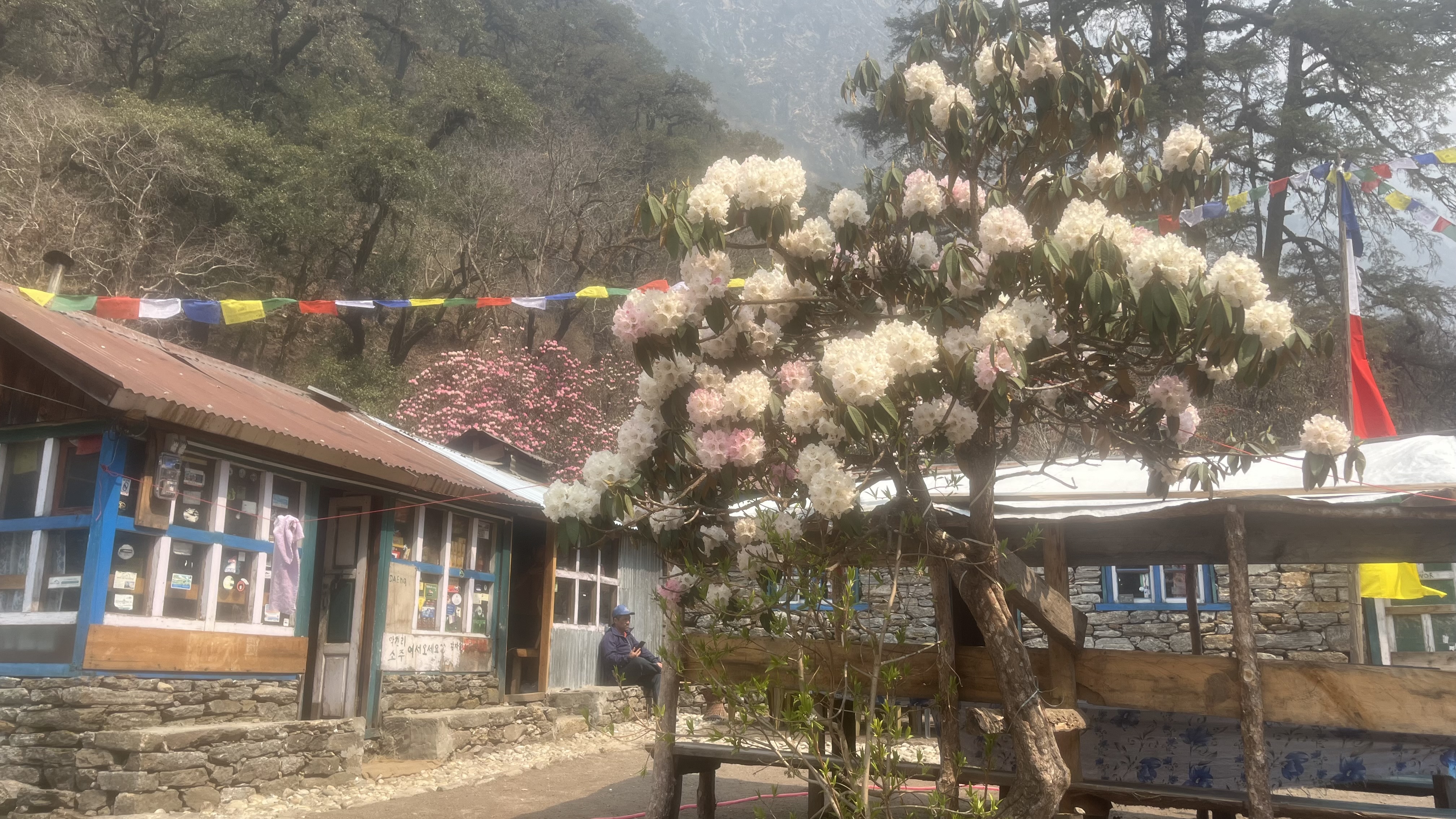 Непал - Лангтанг трек и священное озеро Госайкунда, 13 дней (2/17)