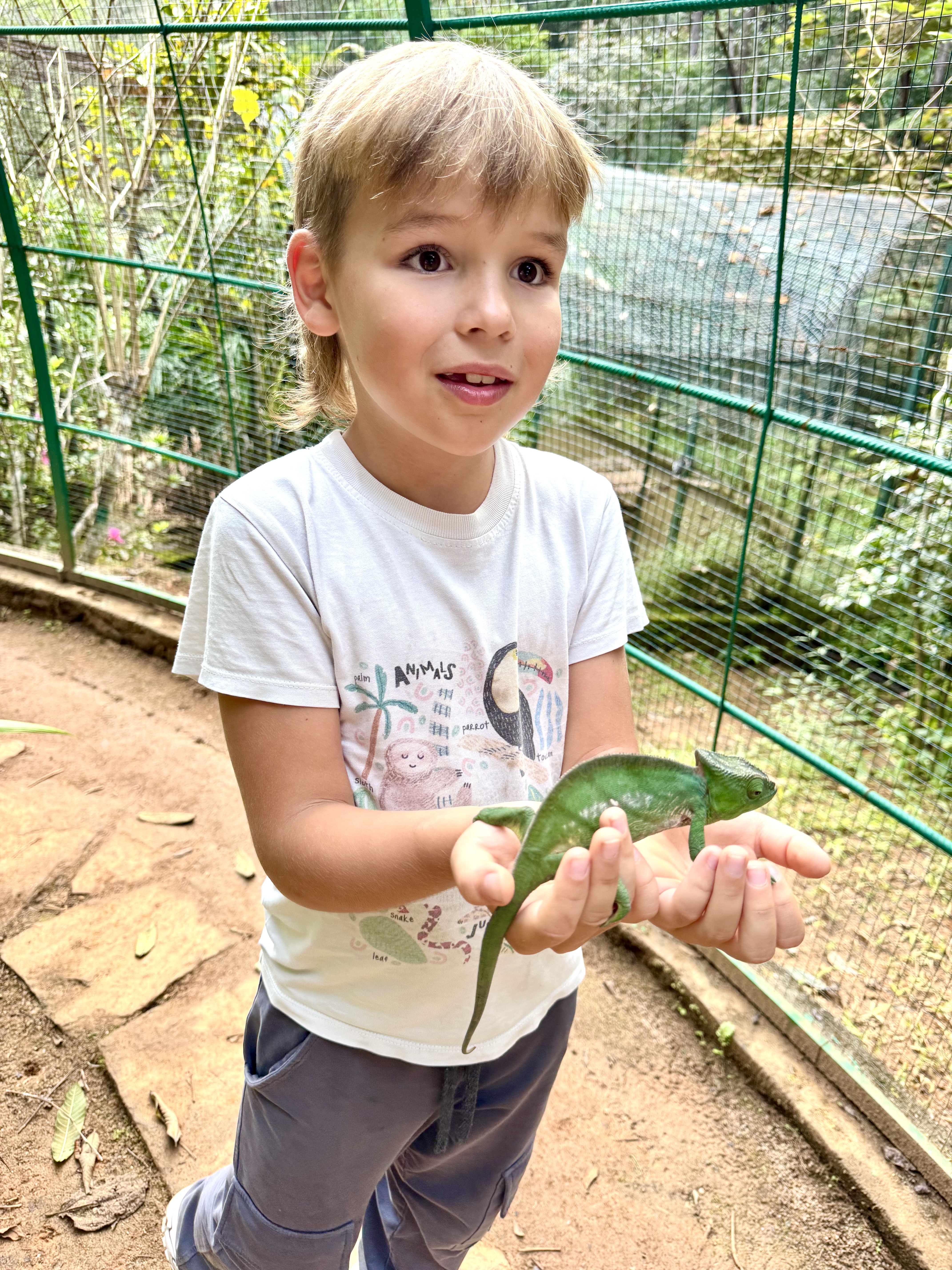 Мадагаскар. Путешествие к Лемурам и Баобабам + Пляжи Носи Бе. (5/43)