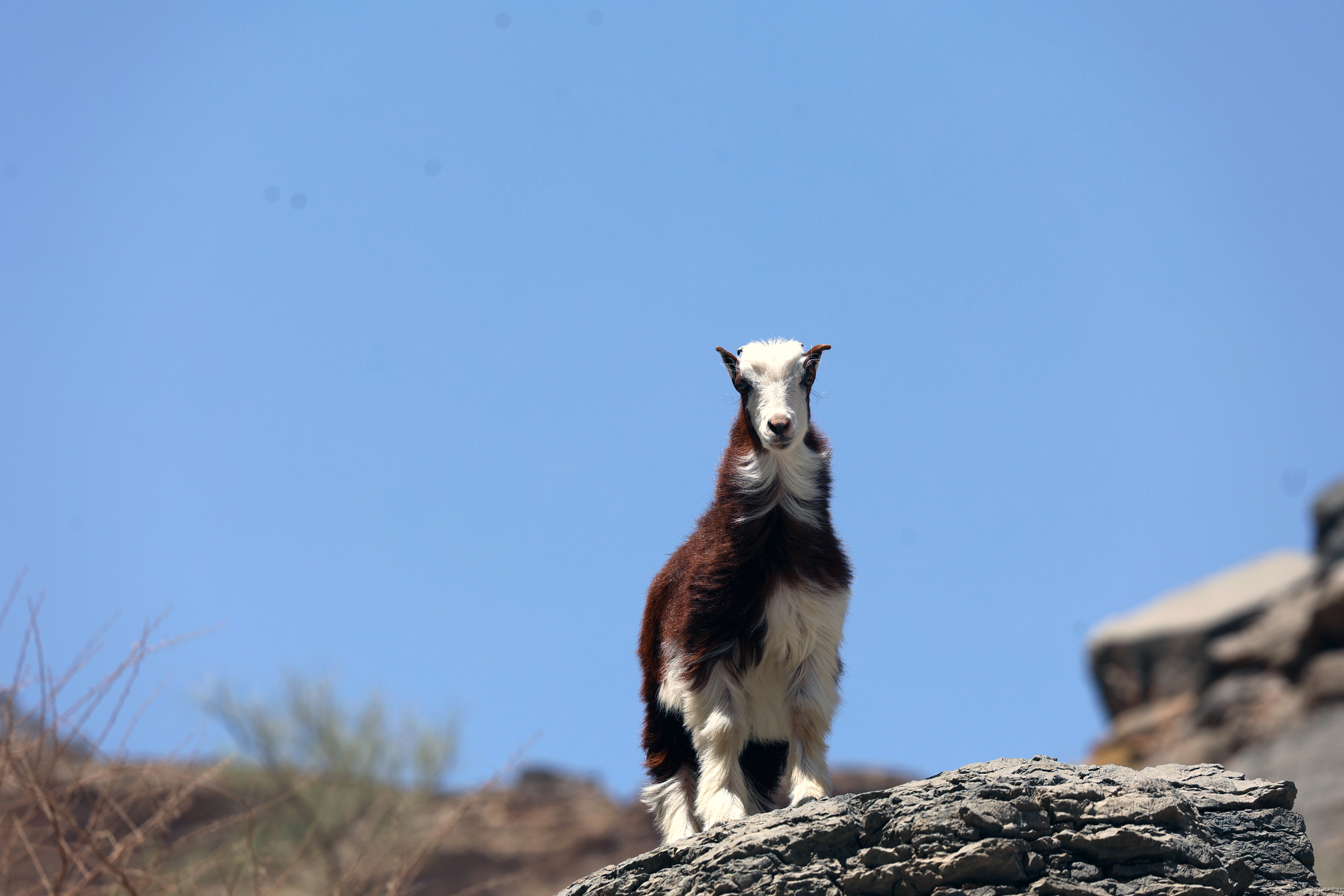 Timeless Oman — вся история Султаната за один день для самых любознательных (20/20)