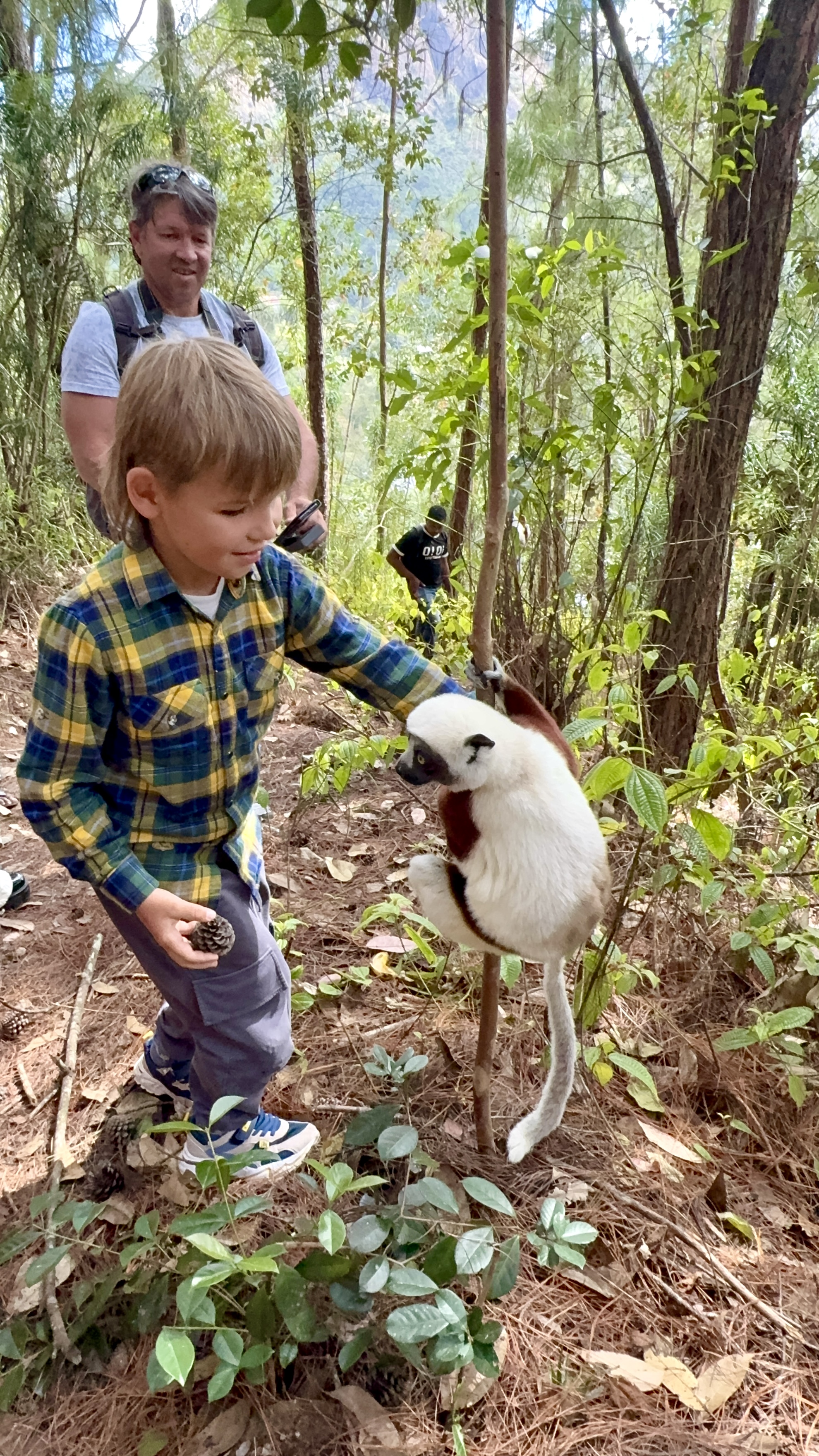 Мадагаскар. Путешествие к Лемурам и Баобабам + Пляжи Носи Бе. (7/43)