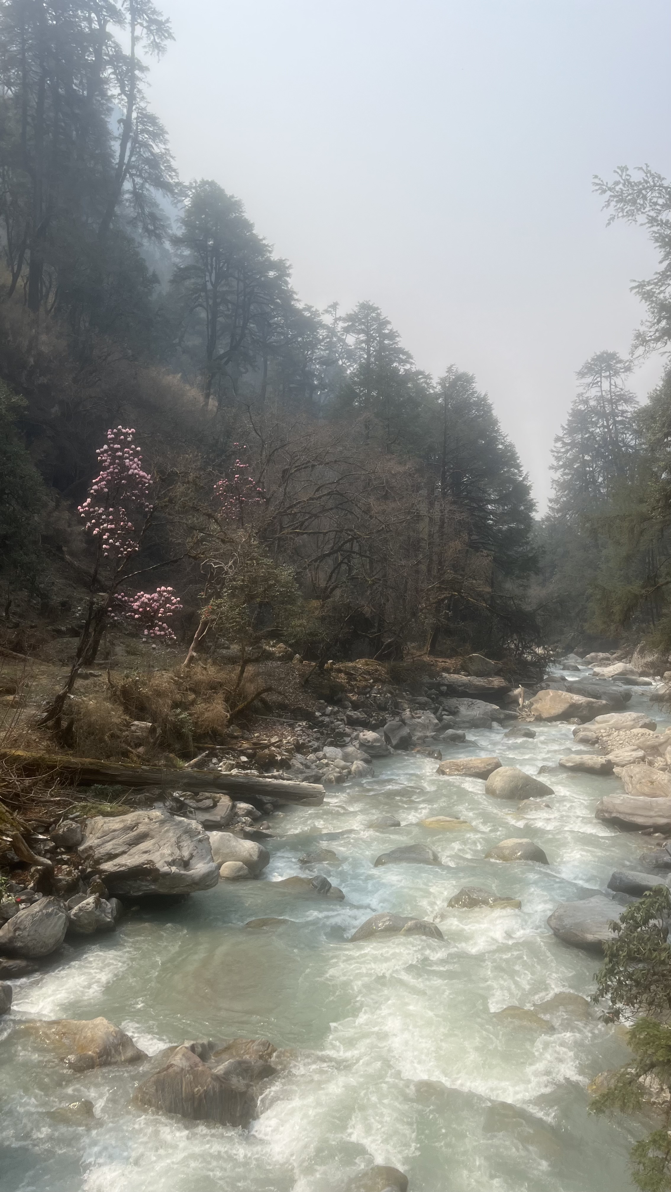 Непал - Лангтанг трек и священное озеро Госайкунда, 13 дней (5/17)