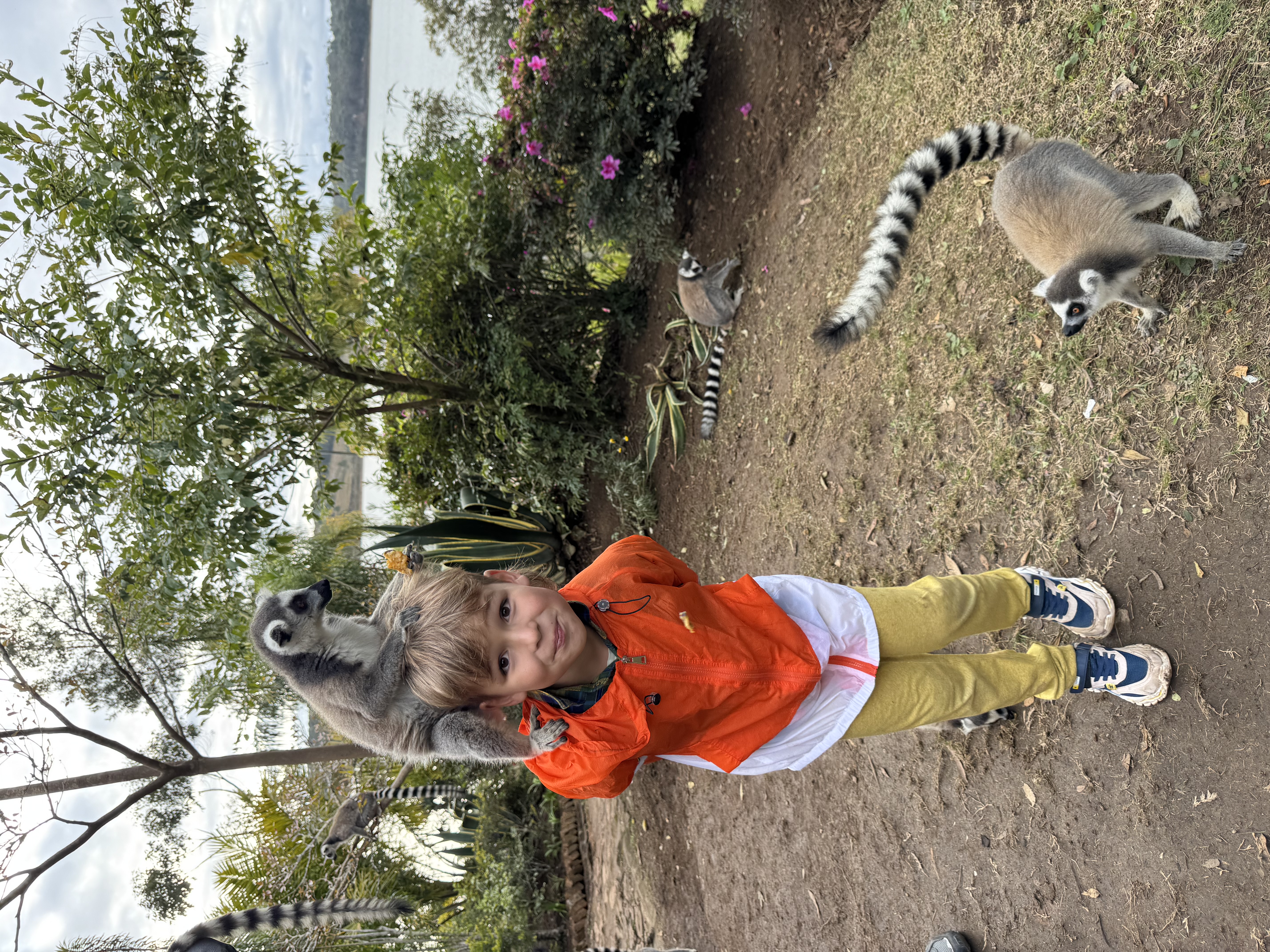 Мадагаскар. Путешествие к Лемурам и Баобабам (23/73)