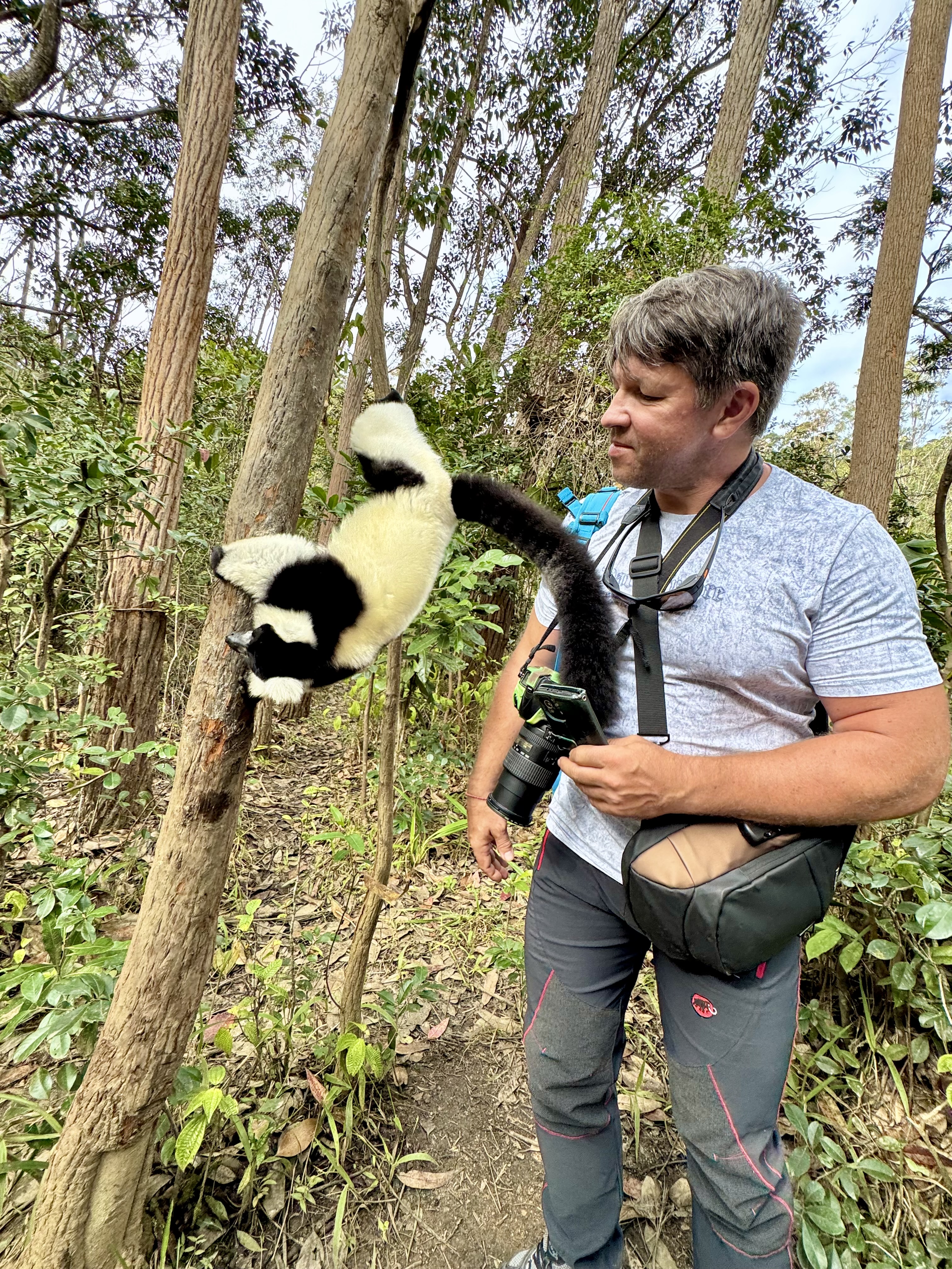 Мадагаскар. Путешествие к Лемурам и Баобабам + Пляжи Носи Бе. (2/43)