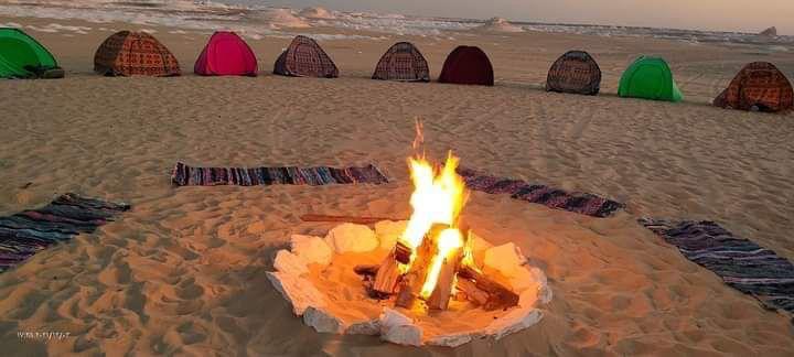 белая пустыня +оазис Эльфаюм за 2 дня (6/20)