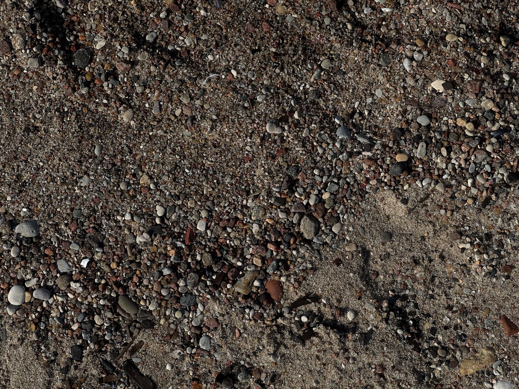 Два курорта - два настроения: Светлогорск и Зеленоградск за 1 день (26/26)