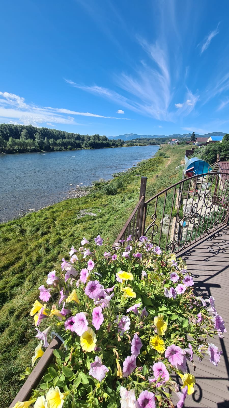 Экскурсия до Белухи (6/11)