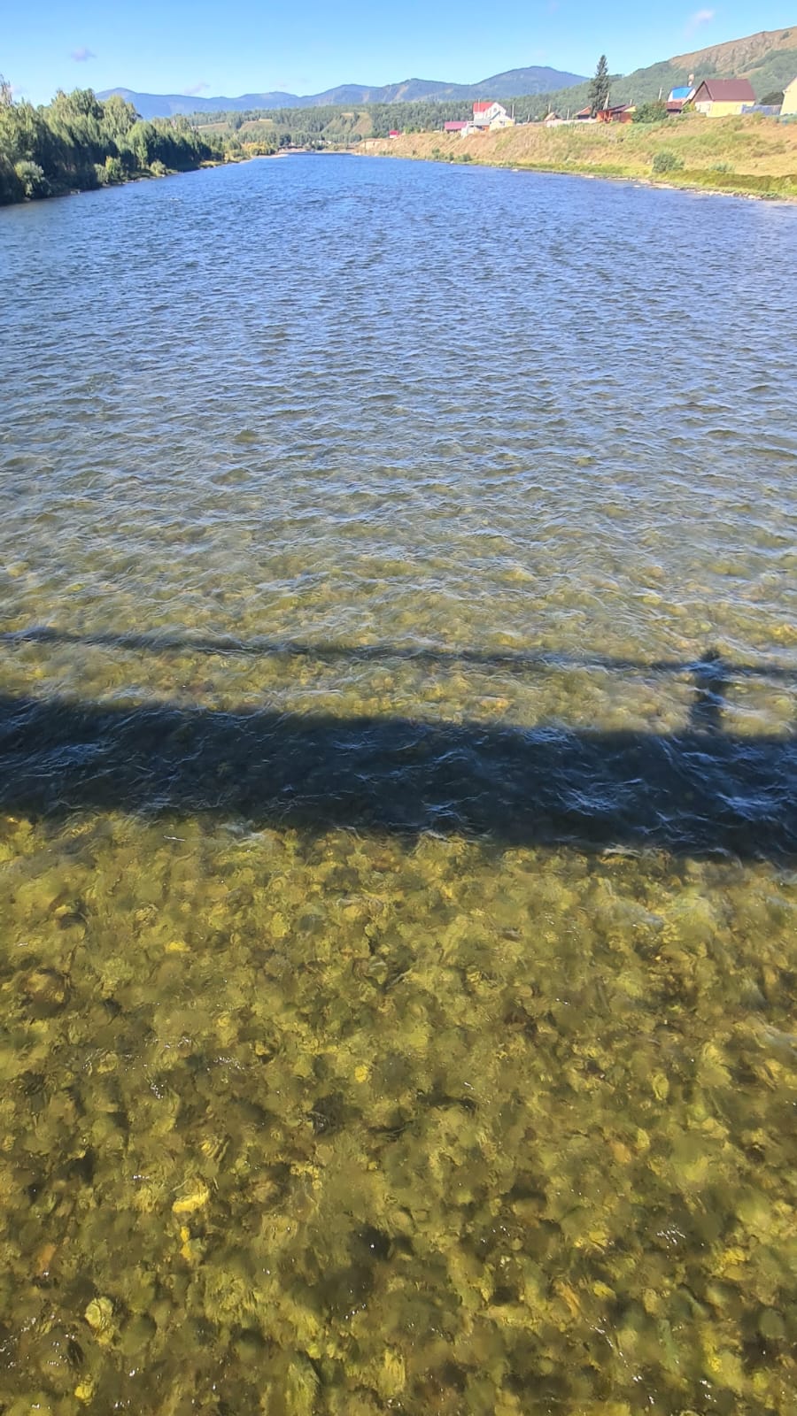 Экскурсия до Белухи (5/11)