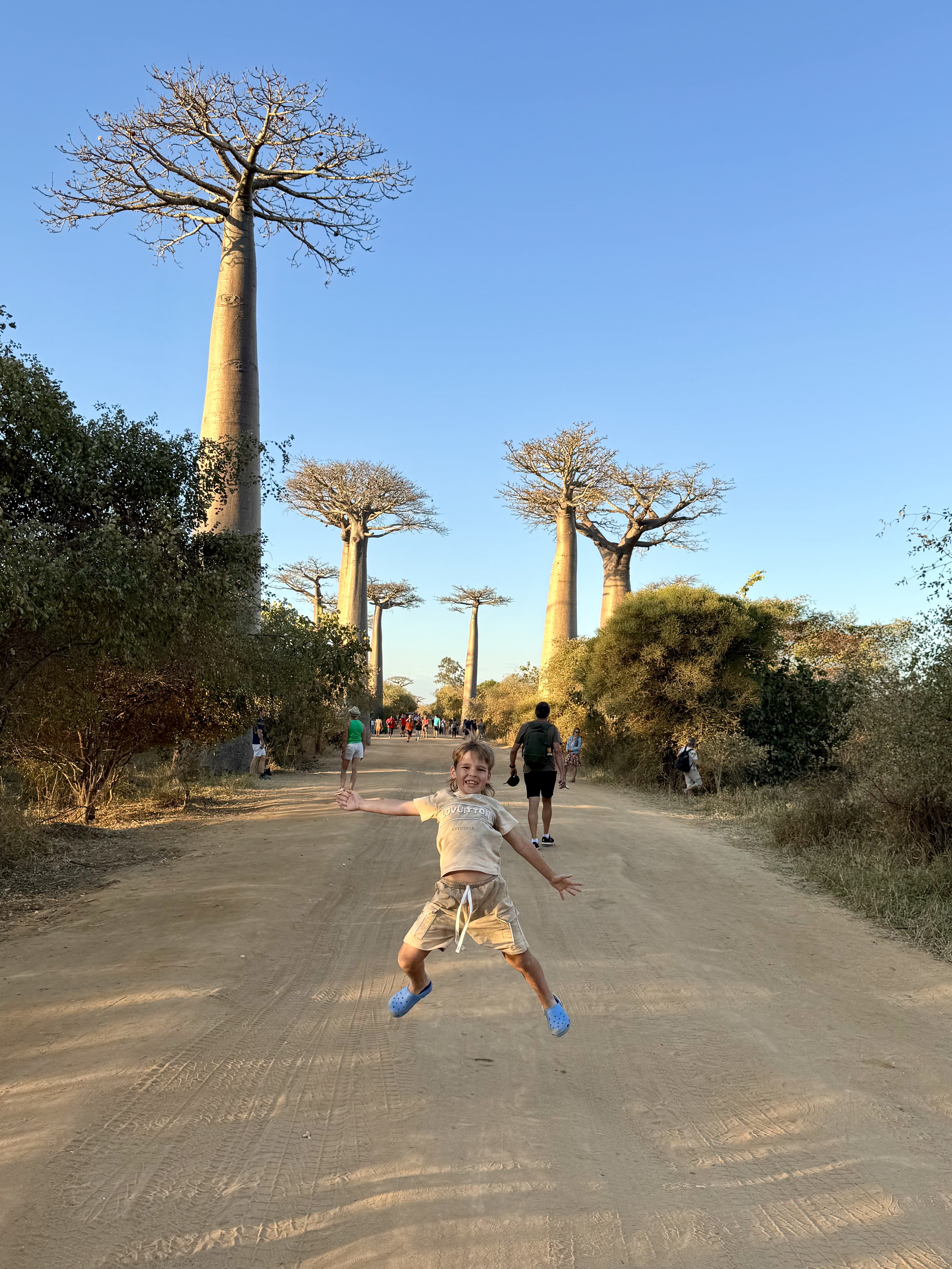 Мадагаскар. Путешествие к Лемурам и Баобабам (28/73)