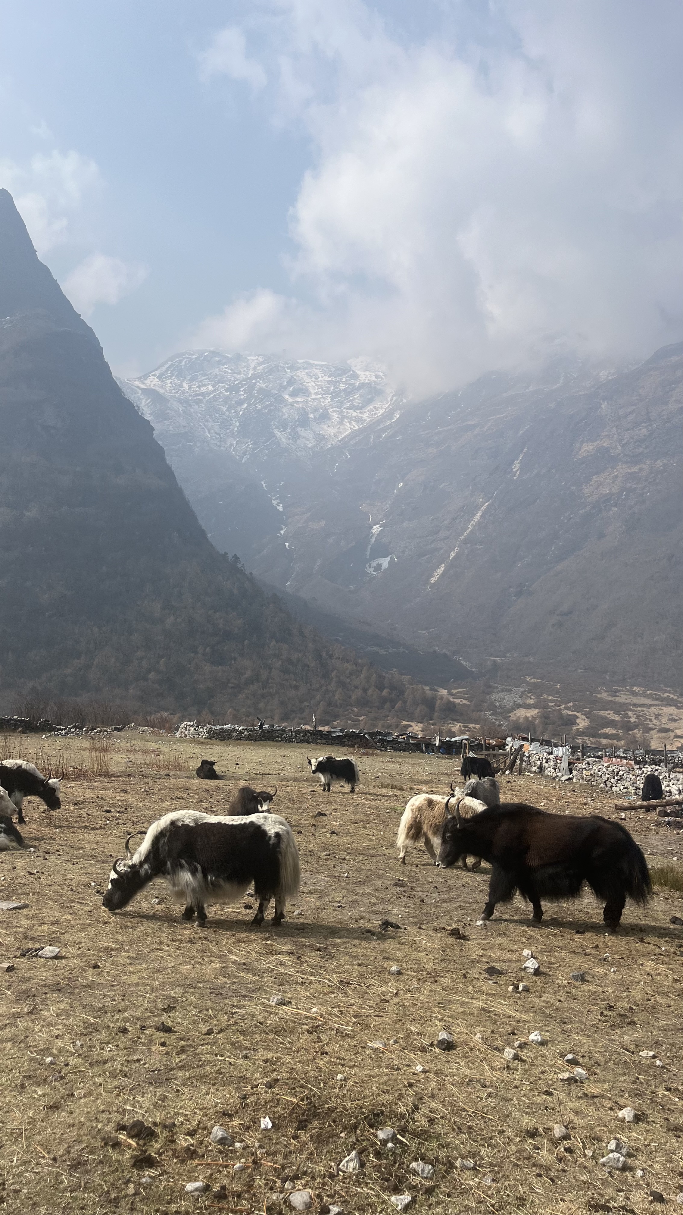 Непал - Лангтанг трек и священное озеро Госайкунда, 13 дней (12/17)