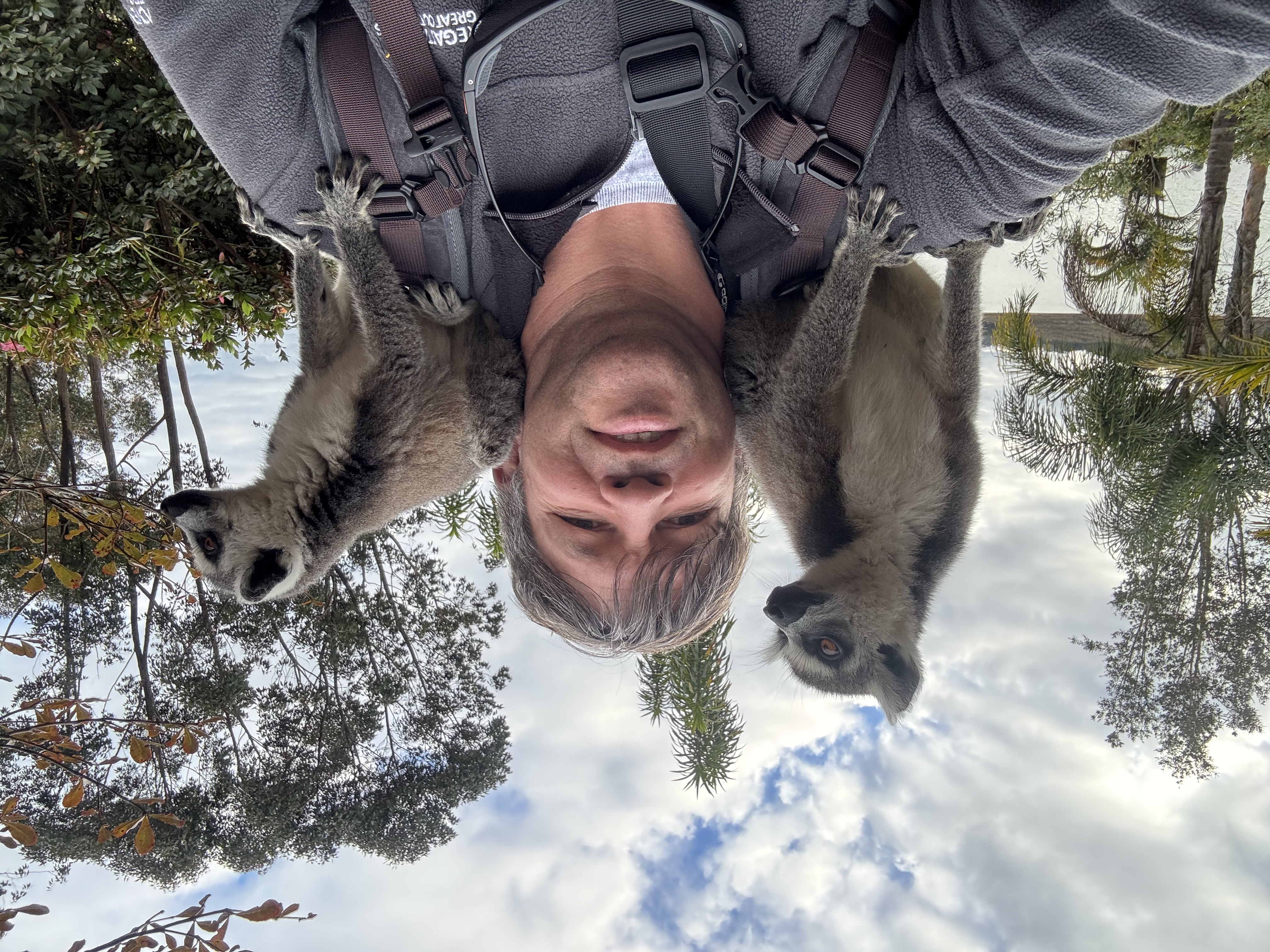 Мадагаскар. Путешествие к Лемурам и Баобабам + Пляжи Носи Бе. (12/43)