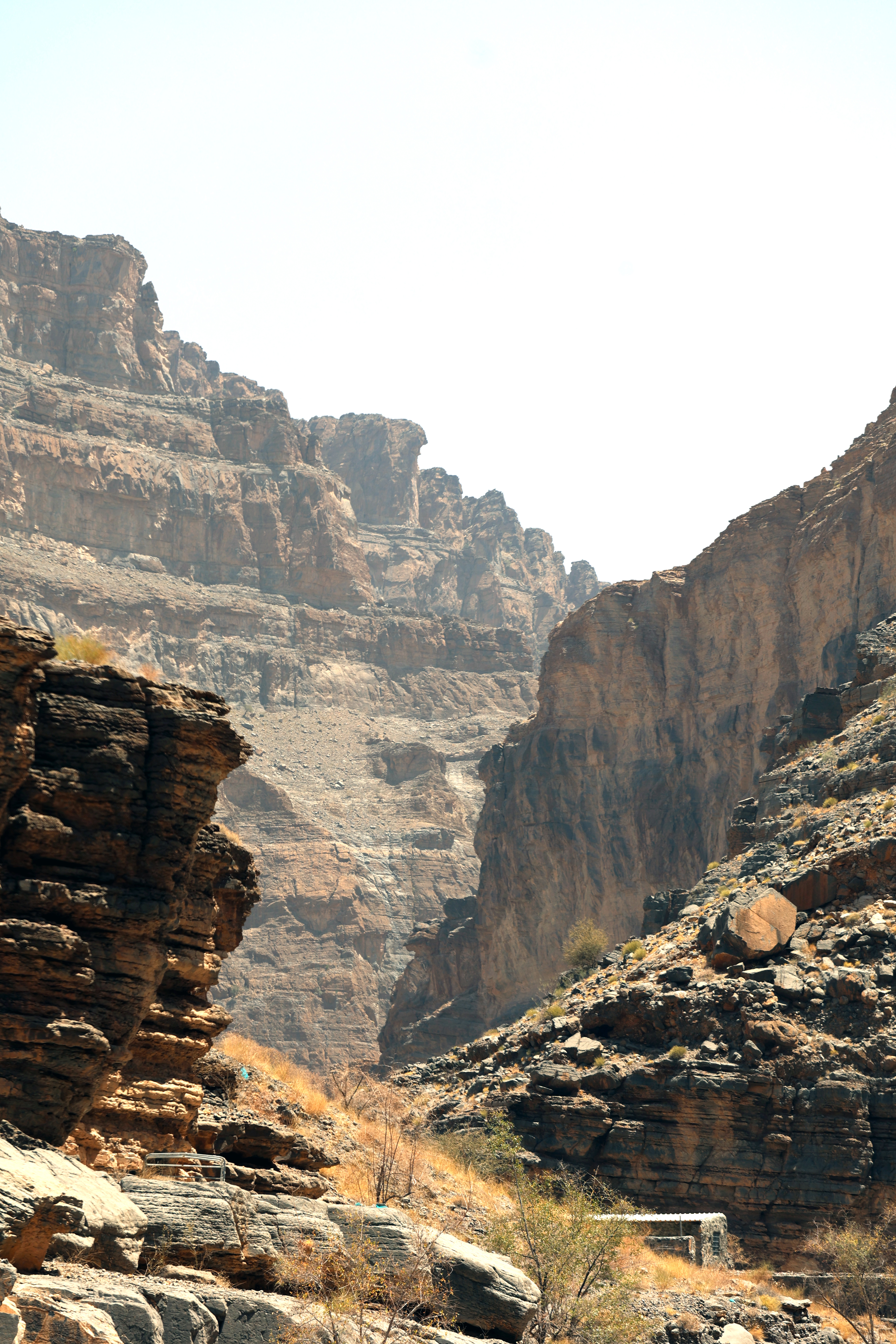 Timeless Oman — вся история Султаната за один день для самых любознательных (12/20)