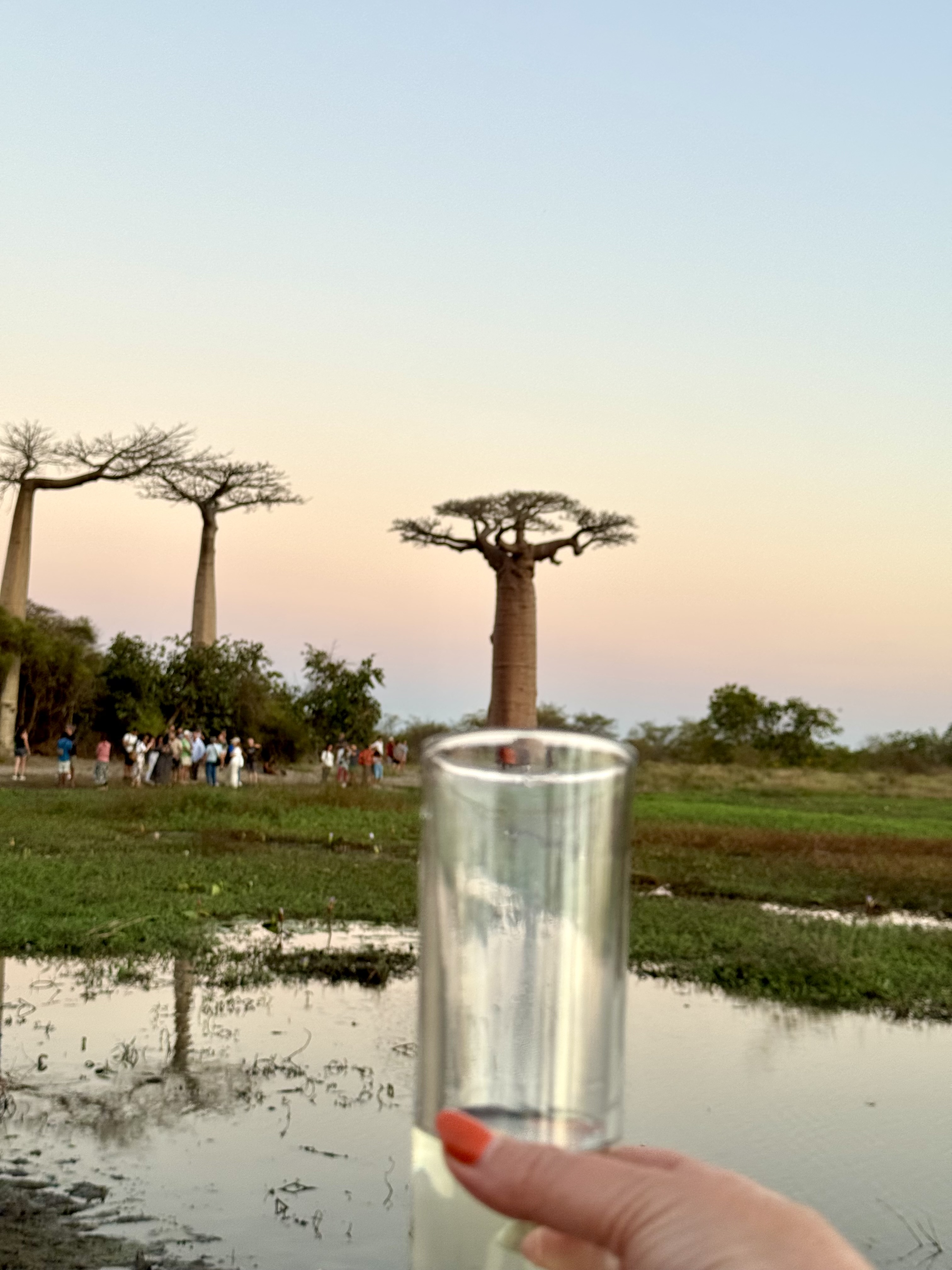 Мадагаскар. Путешествие к Лемурам и Баобабам (31/73)