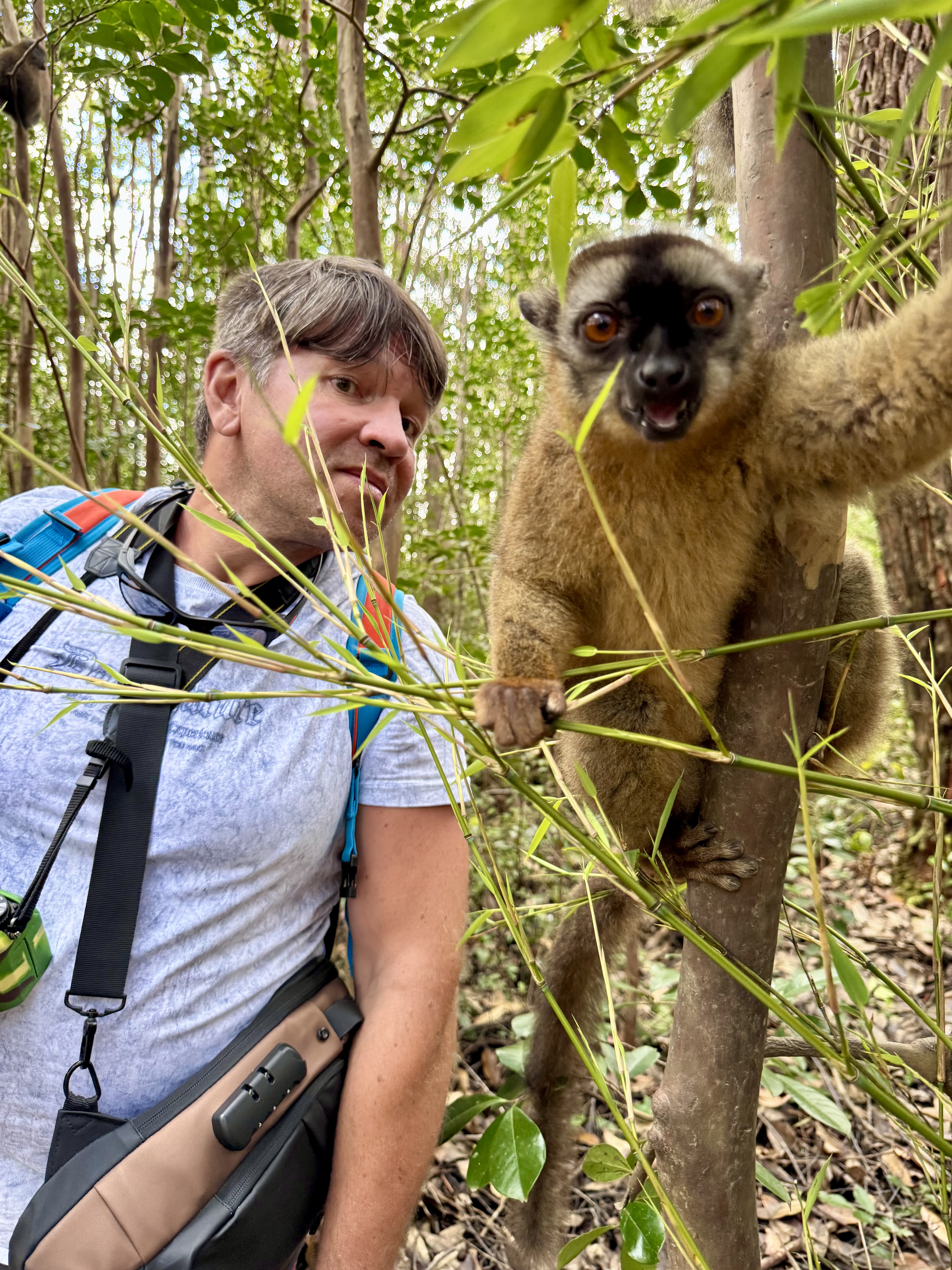 Мадагаскар. Путешествие к Лемурам и Баобабам + Пляжи Носи Бе. (4/43)