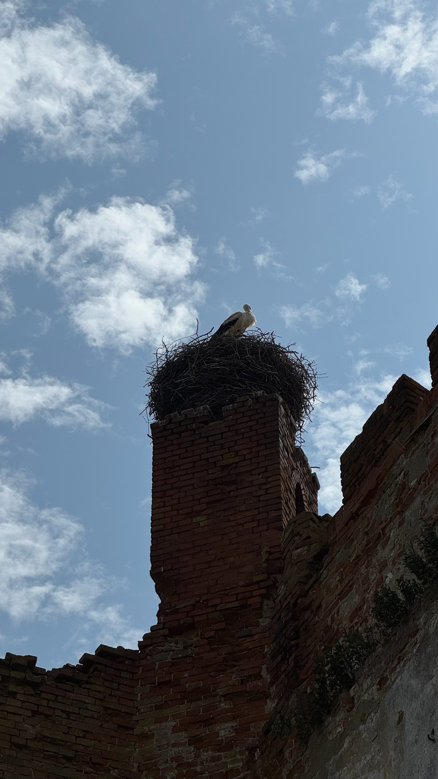 Два курорта - два настроения: Светлогорск и Зеленоградск за 1 день (16/26)