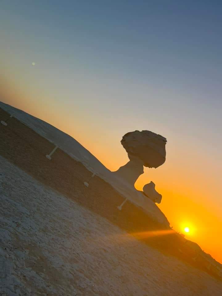 белая пустыня +оазис Эльфаюм за 2 дня (5/20)