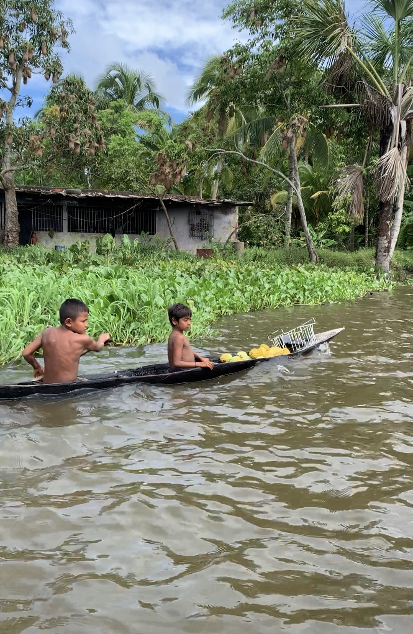 Венесуэла - большое путешествие в затерянные миры (индивидуально) (36/51)