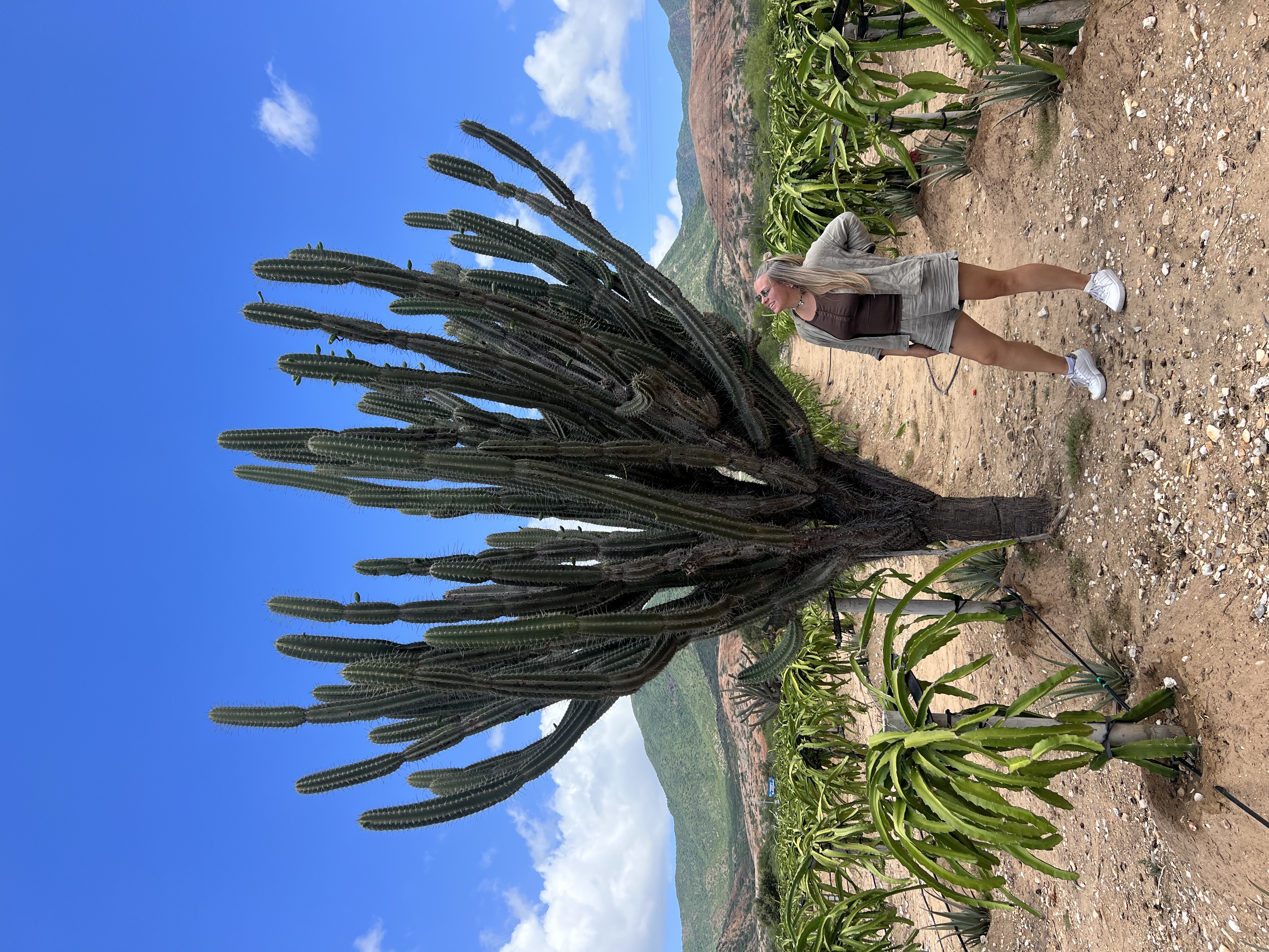 Венесуэла - большое путешествие в затерянные миры (индивидуально) (28/51)