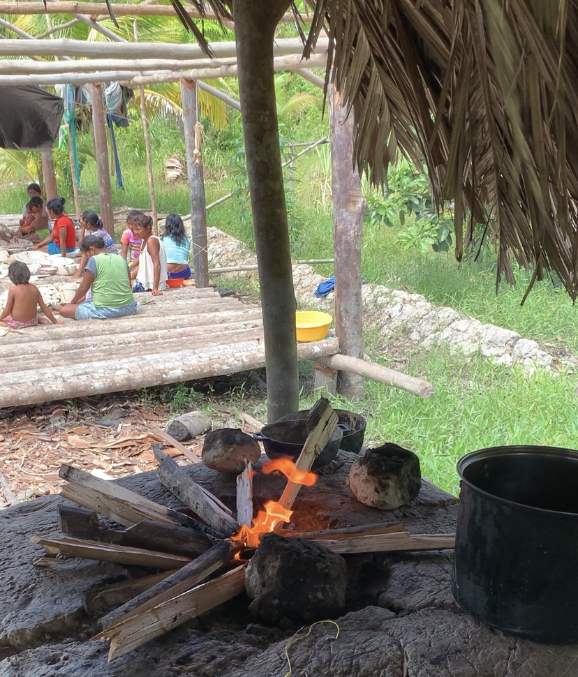 Венесуэла - большое путешествие в затерянные миры (индивидуально) (38/51)