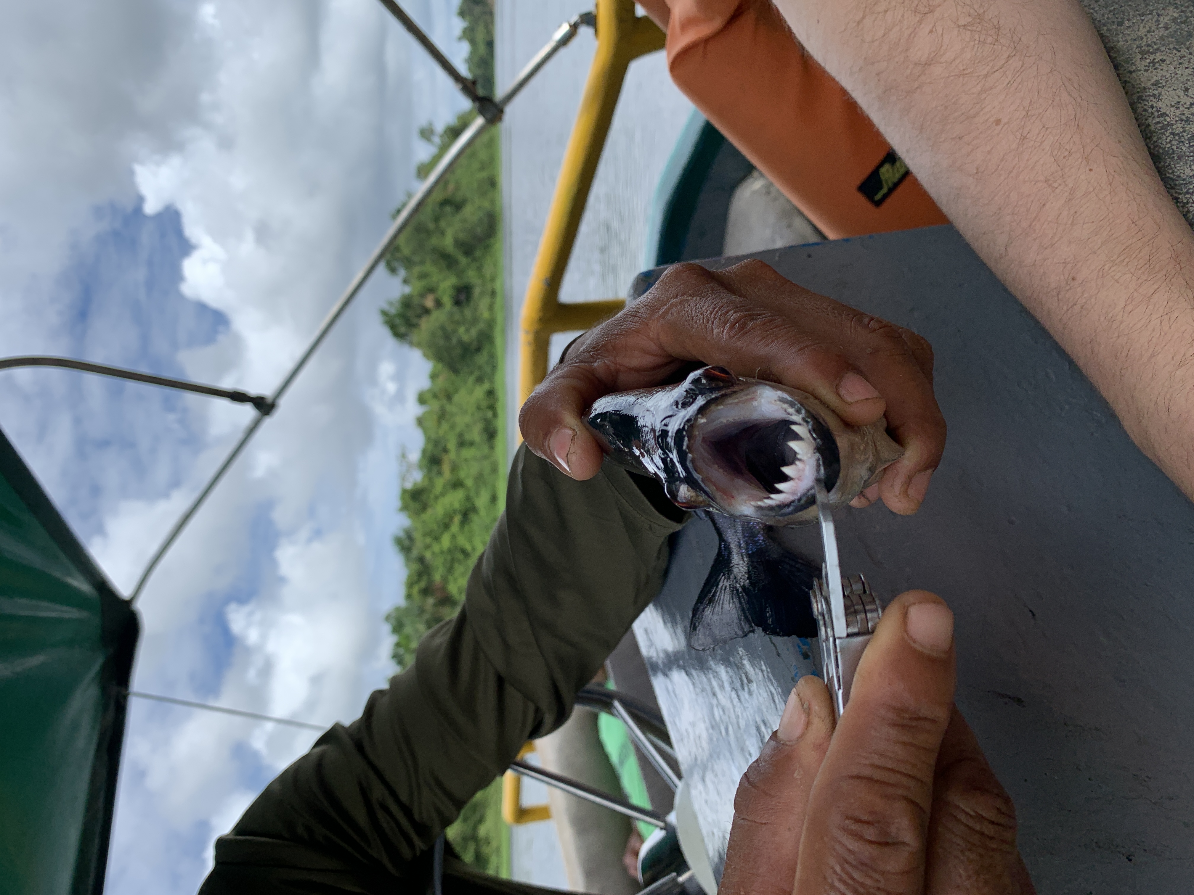 Венесуэла - большое путешествие в затерянные миры (индивидуально) (41/51)