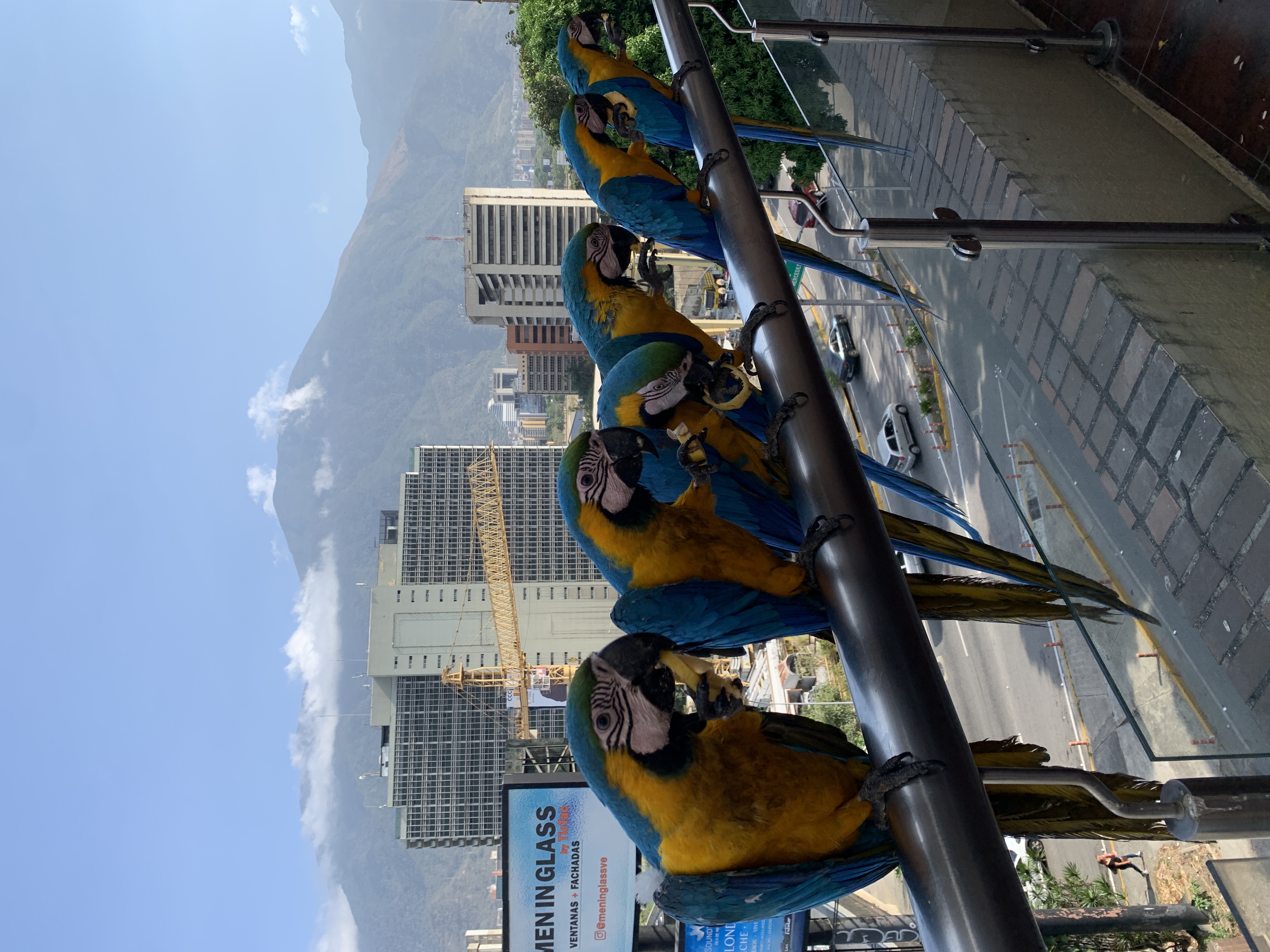 Венесуэла - большое путешествие в затерянные миры (индивидуально) (35/51)