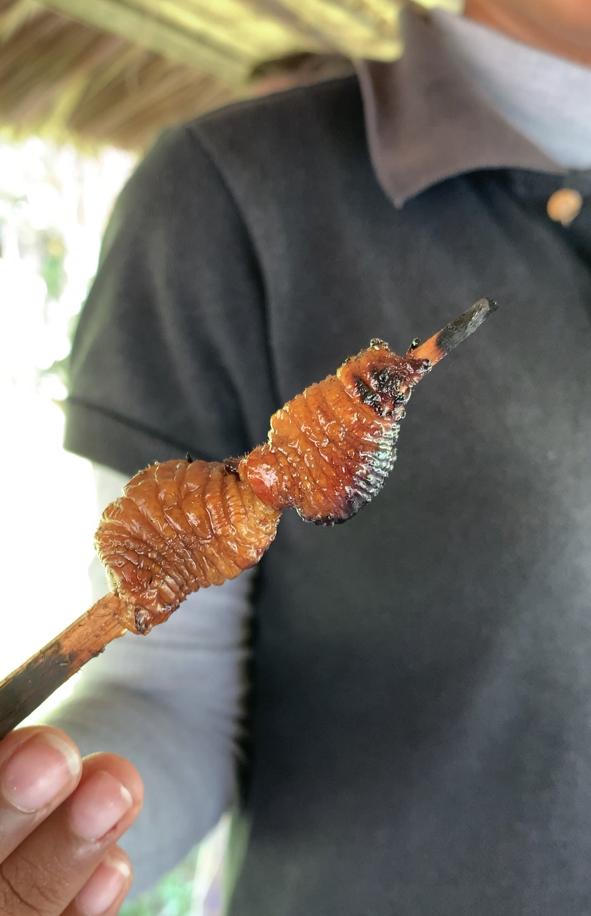 Венесуэла - большое путешествие в затерянные миры (индивидуально) (39/51)